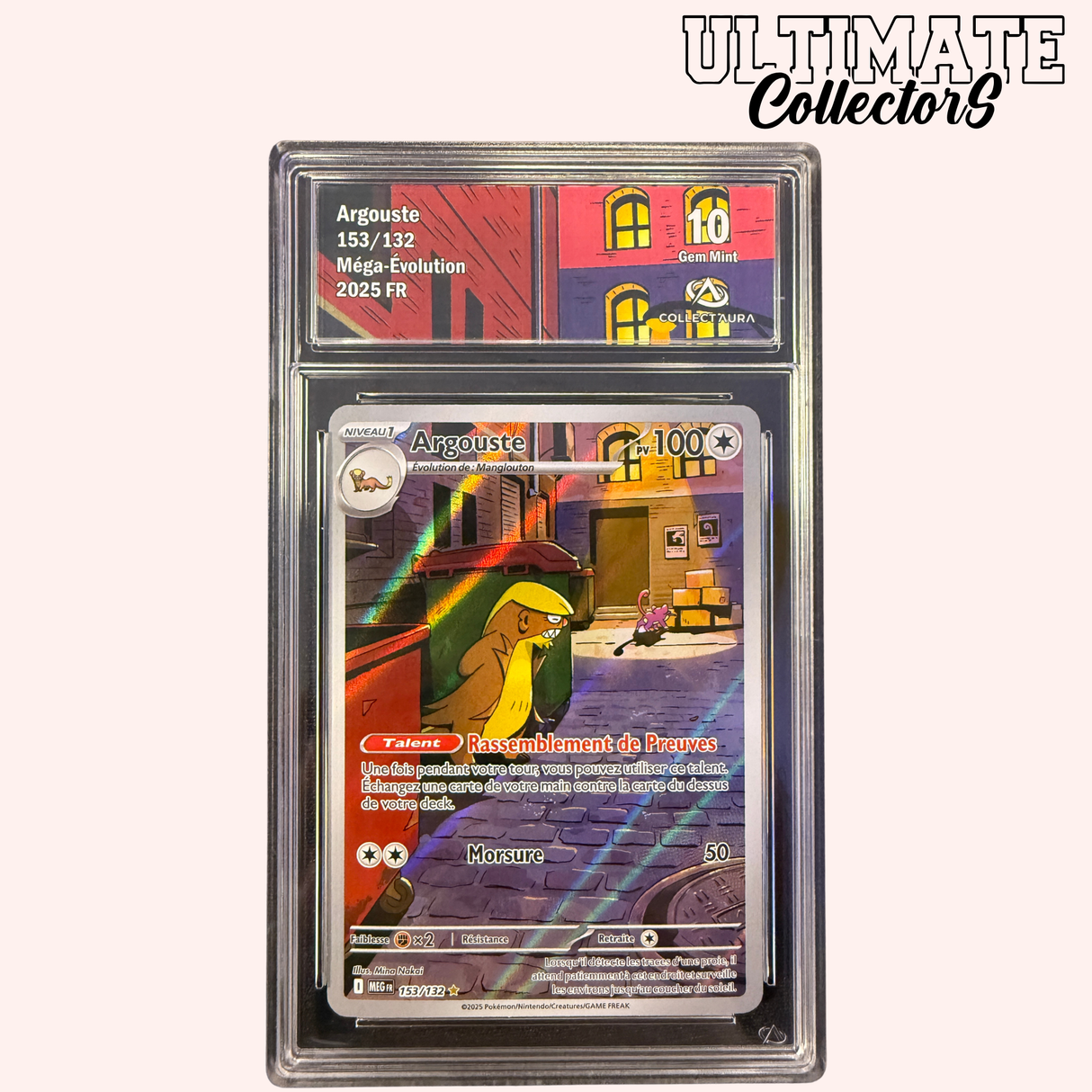 Argouste 153/132 - Méga-Evolution