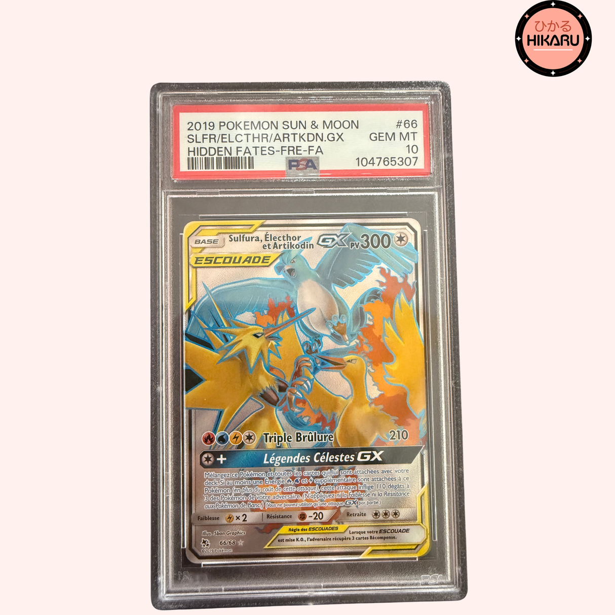 Artikodin, Electhor & Sulfura GX 69/68 (FR)