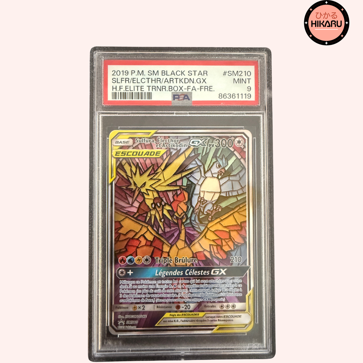 Artikodin, Electhor & Sulfura PROMO 210/SM-P (FR)