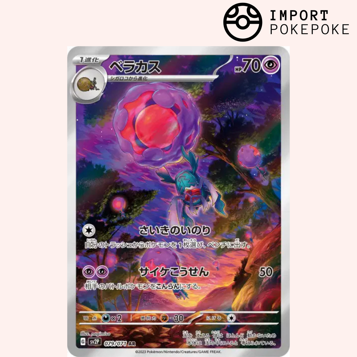 Bérasca AR 079/071 - Snow Hazard - SV2P