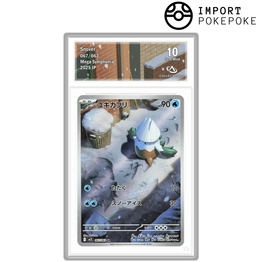 Blizzi AR 067/063 - M1S