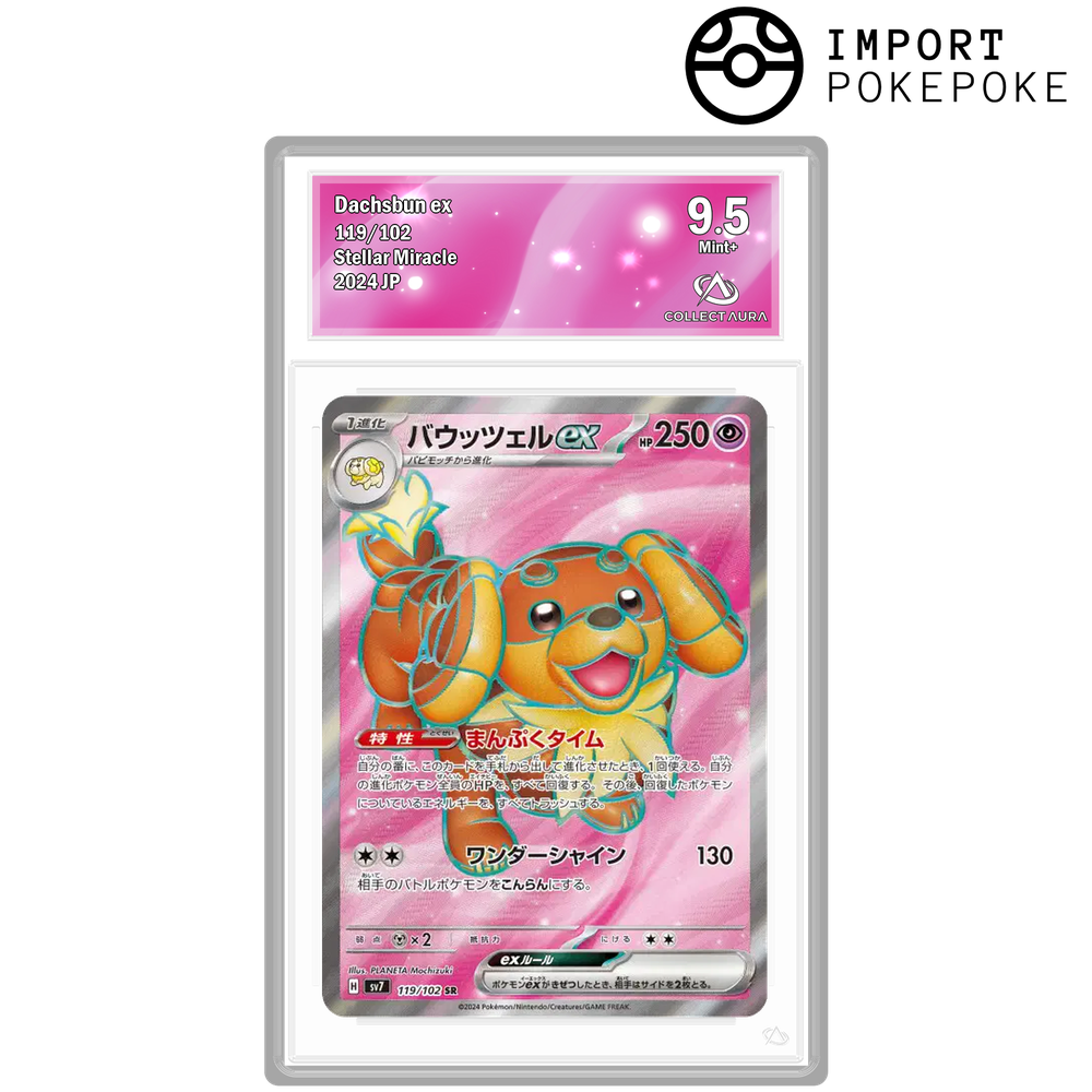 Briochien ex SR 119/102 - SV7