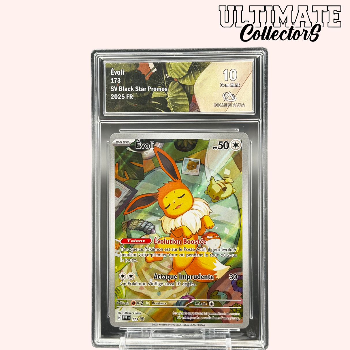 Evoli 173/SV-P - Français