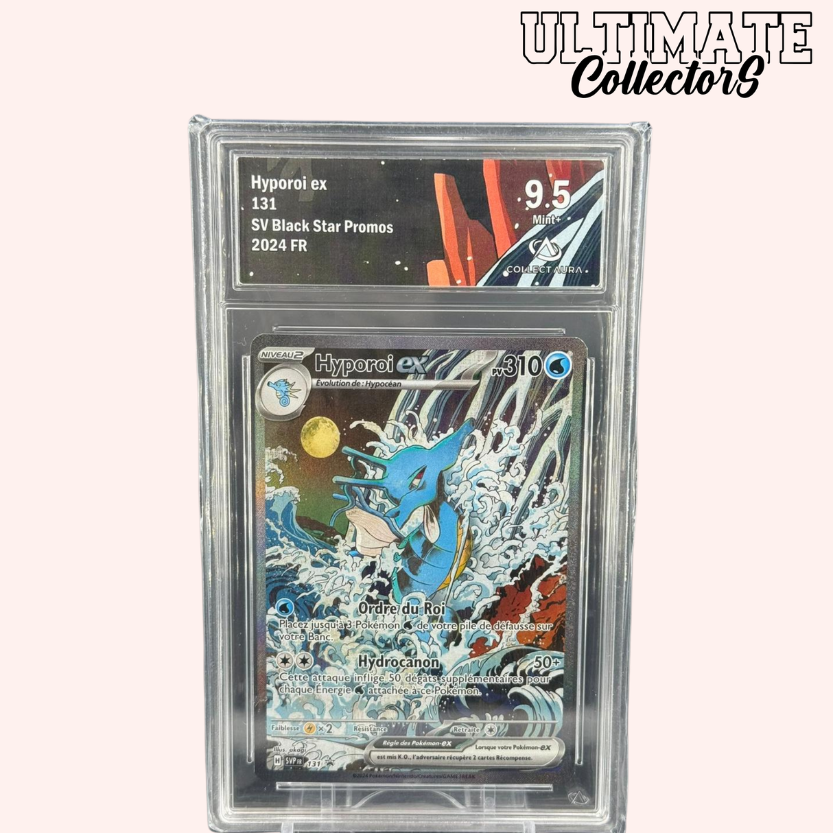 Hyporoi ex 131/SV-P - Français