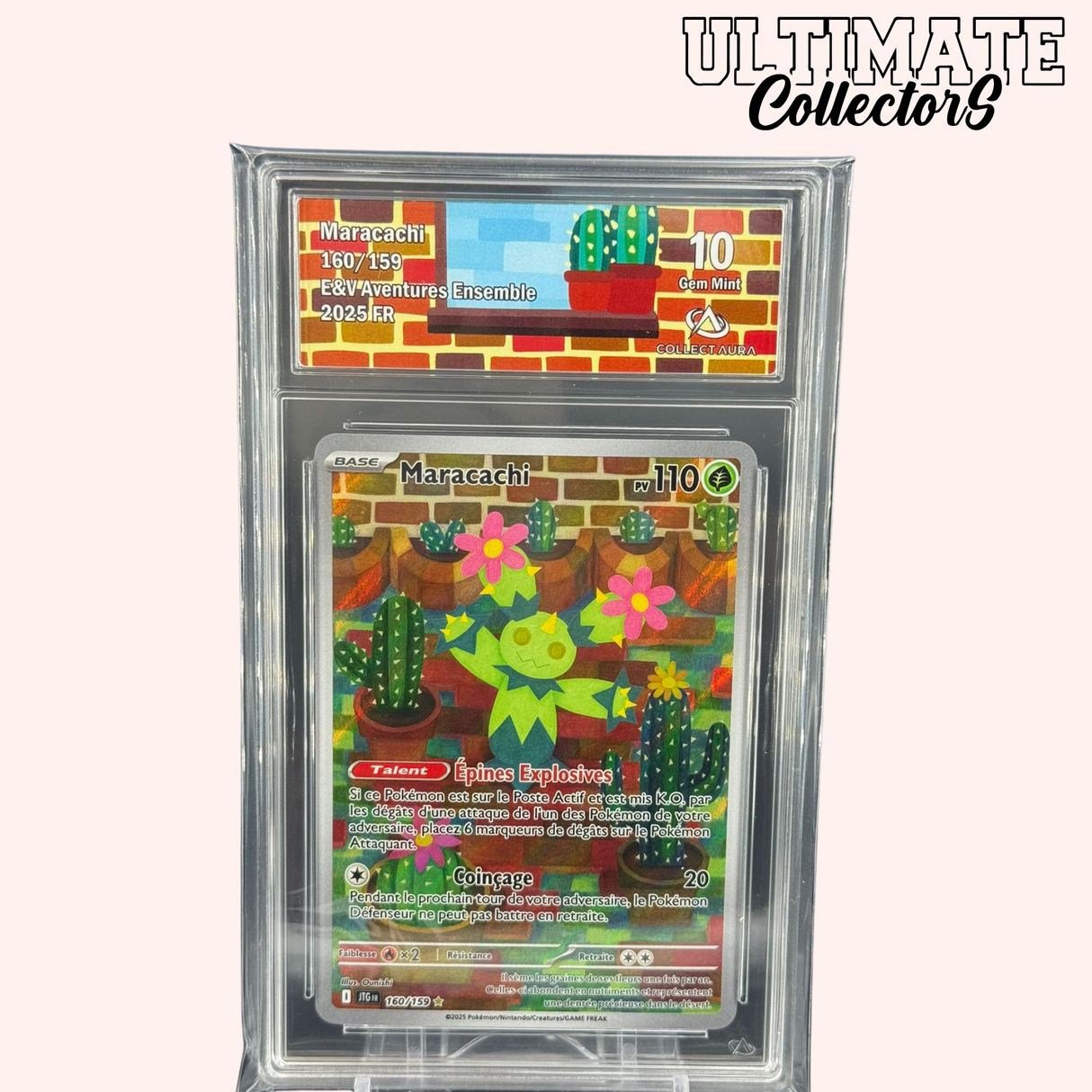 Maracachi AR 160/159 - Aventures Ensemble - Français