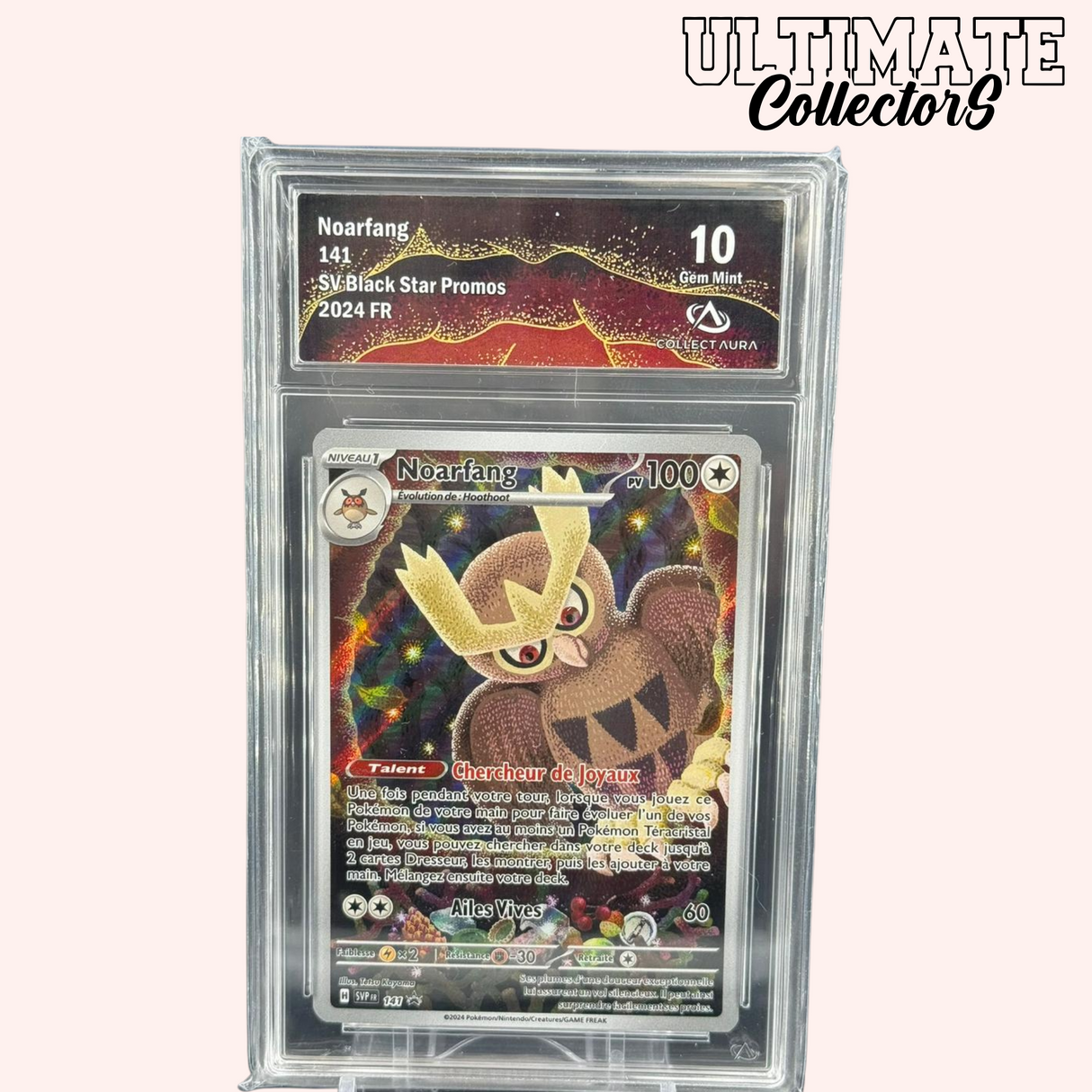 Noarfang 141/SV-P - Français