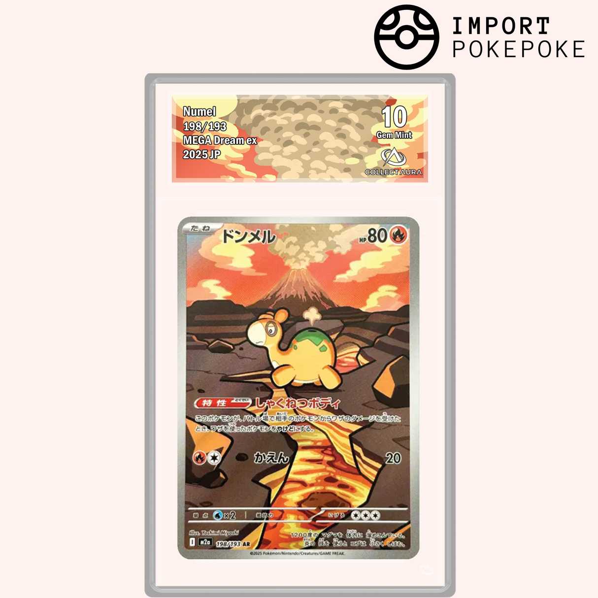 Chamallot AR 198/193 - M2A