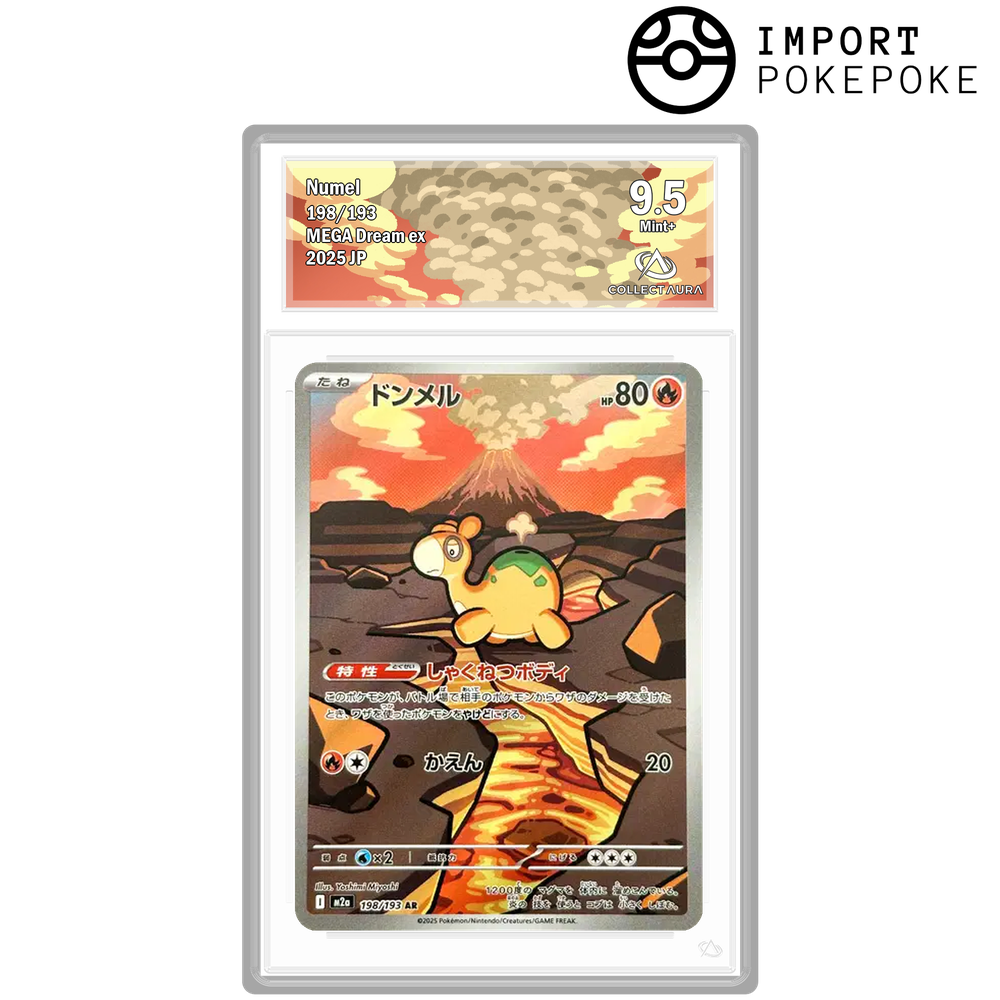 Chamallot AR 198/193 - M2A