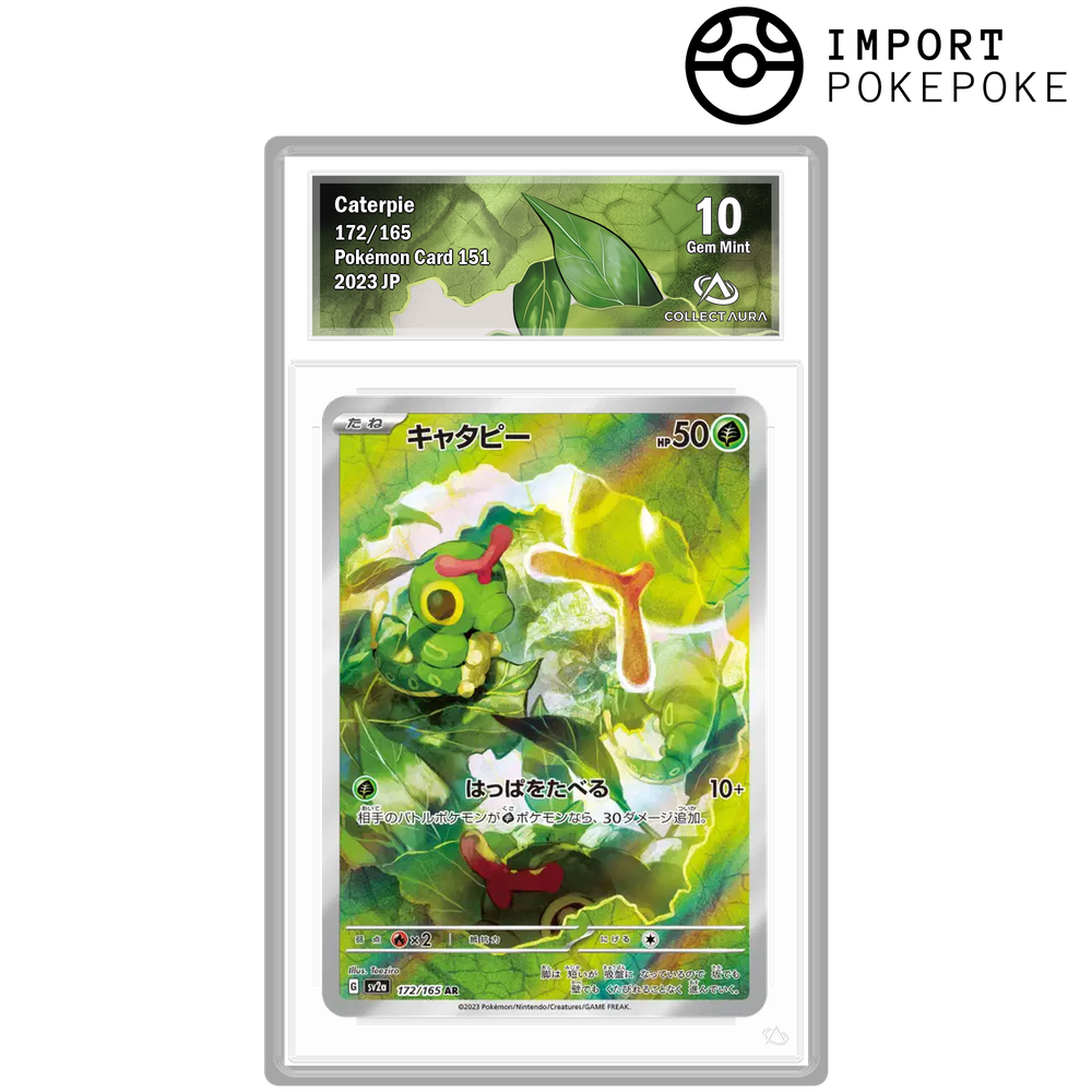 Chenipan AR 172/165 - SV2A