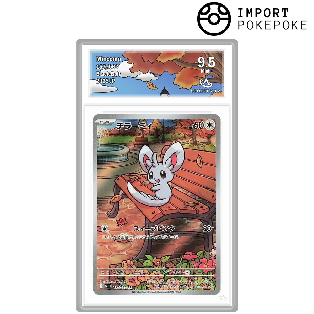 Chinchidou AR 157/086 - SV11B