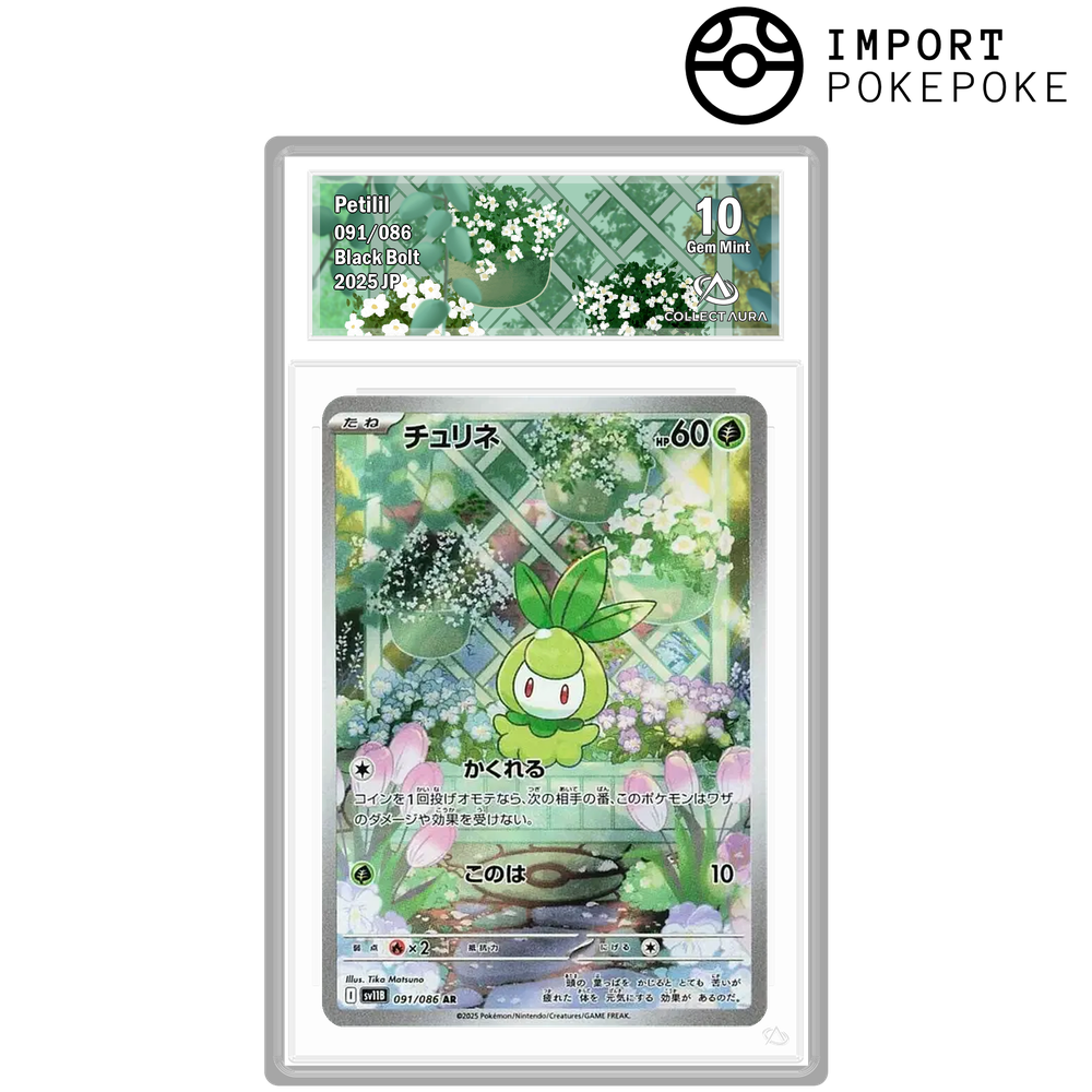 Chlorobule AR 091/086 - SV11B