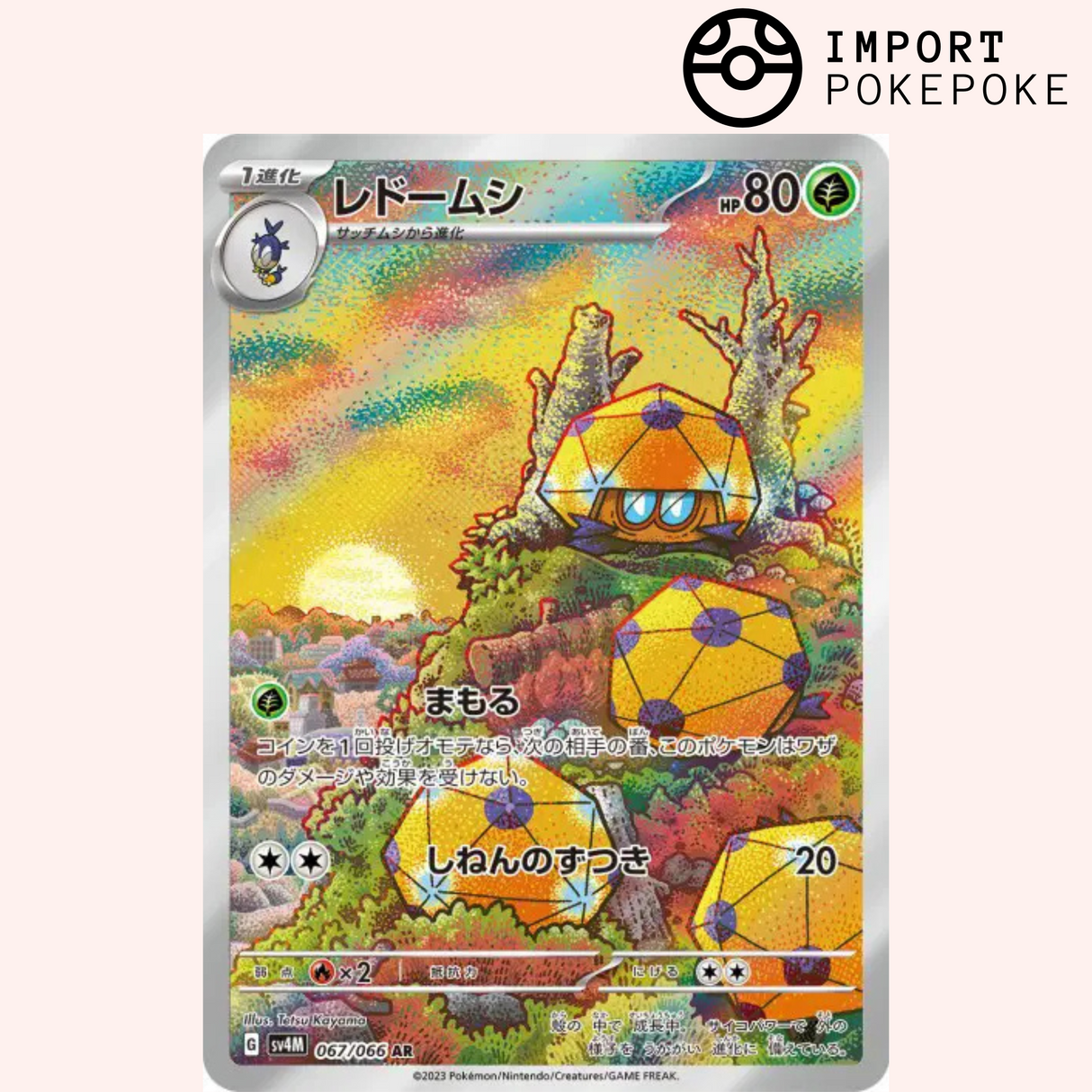 Coléodôme AR 067/066 - Future Flash - SV4M