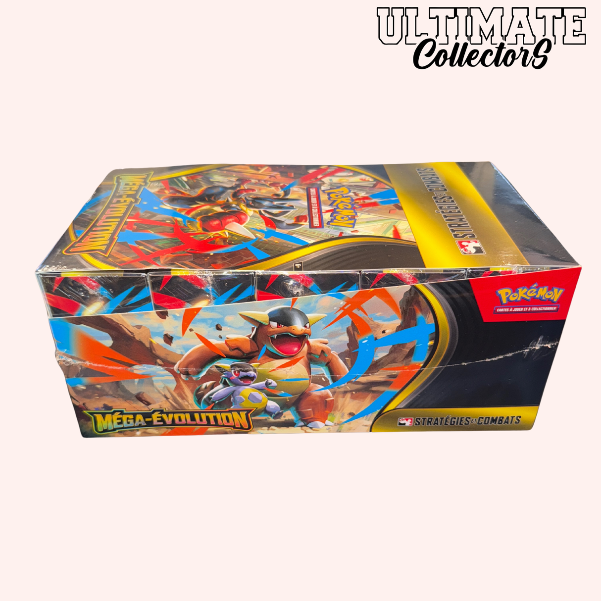 Display Kit AP - Méga-Evolution - Français