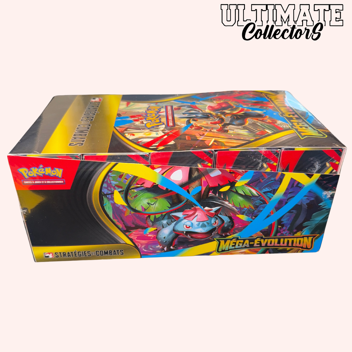 Display Kit AP - Méga-Evolution - Français