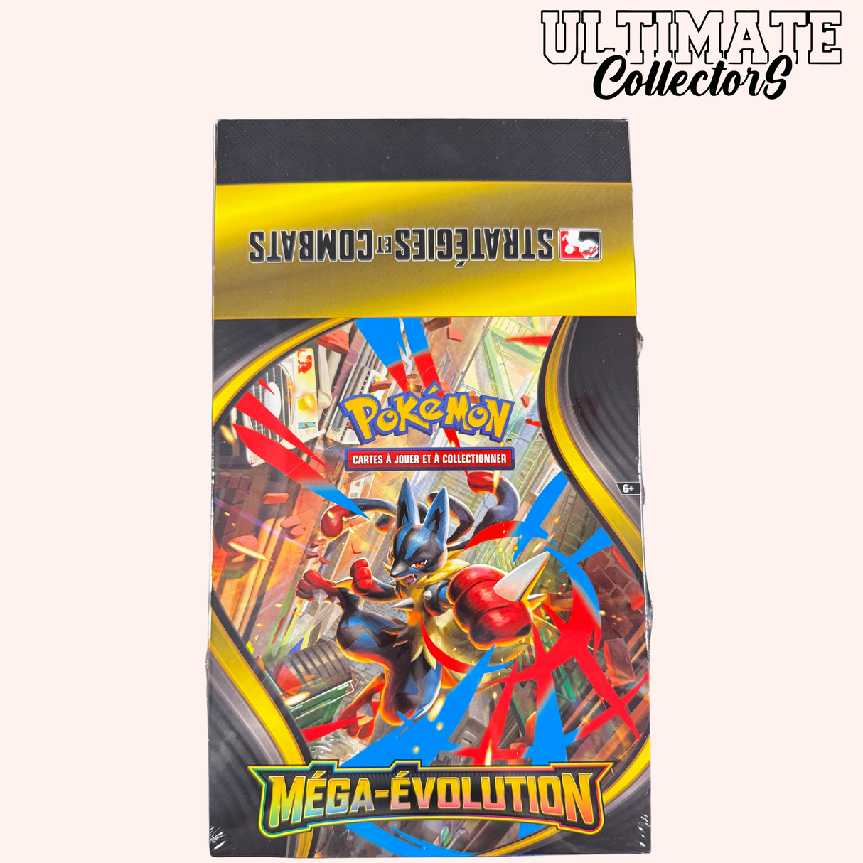 Display Kit AP - Méga-Evolution - Français