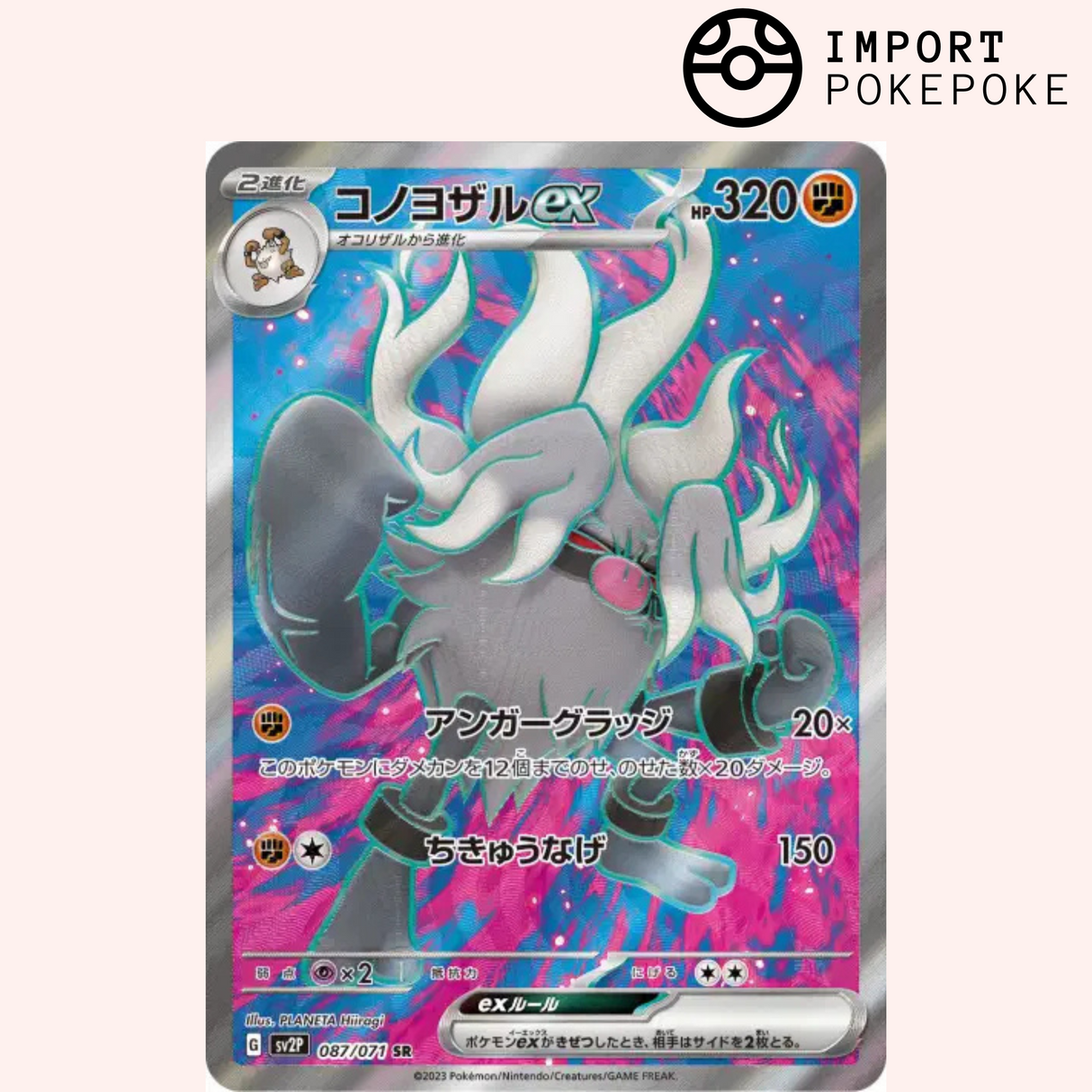 Courrousinge SR 087/071 - Snow Hazard - SV2P