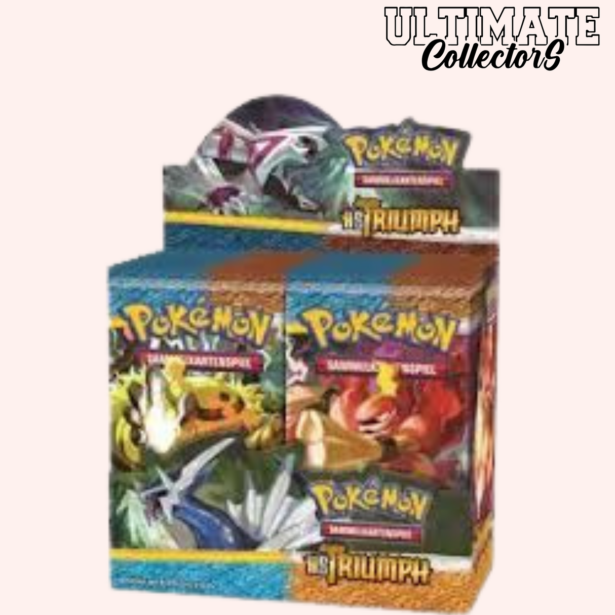 Display - HS Triomphe - Français