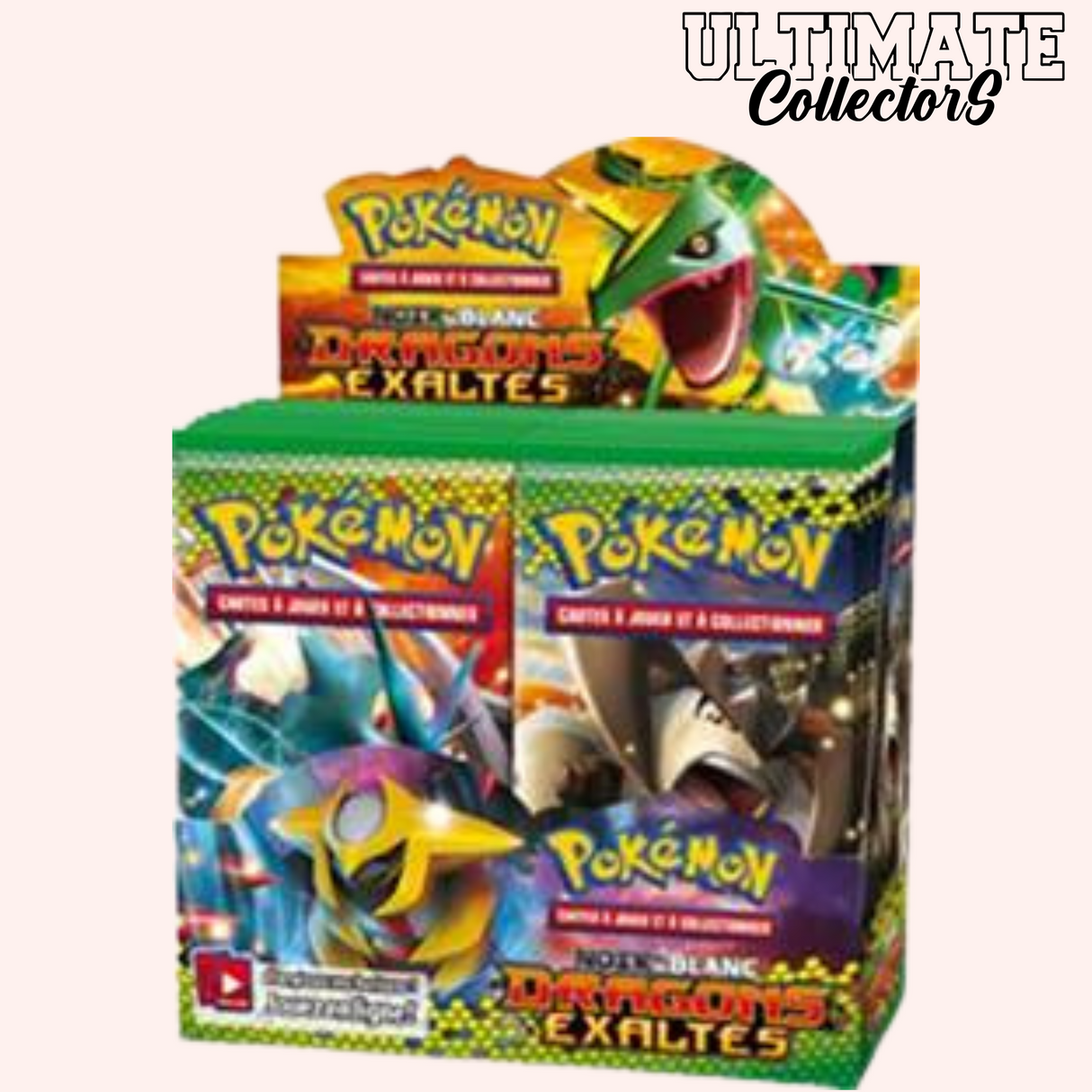 Display - Noir et Blanc - Dragons Exaltés - Français