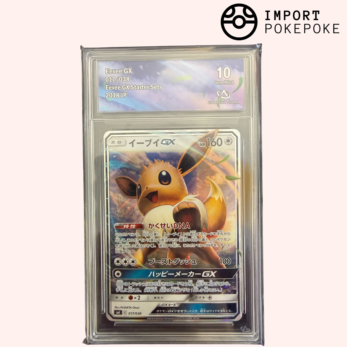 Evoli GX 017/038 - SM1