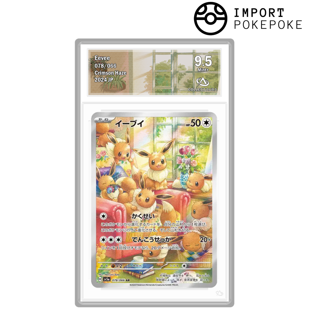 Evoli AR 078/066 – SV5A