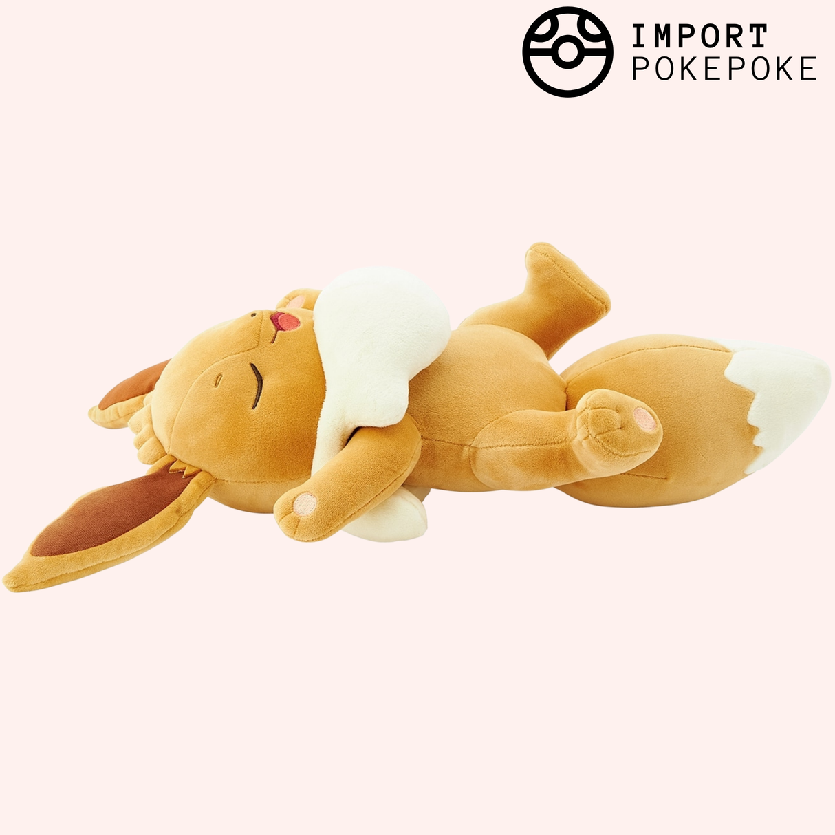 Evoli - Pokémon Sleep | Pokémon Center