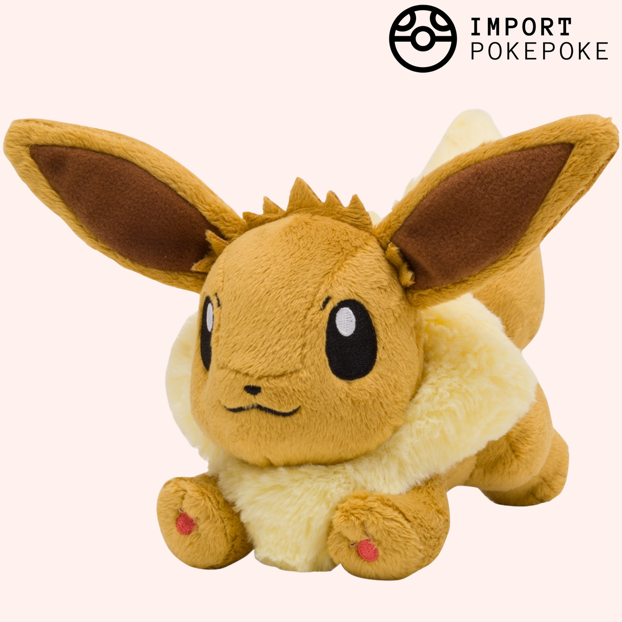 Evoli qui court | Pokémon Center