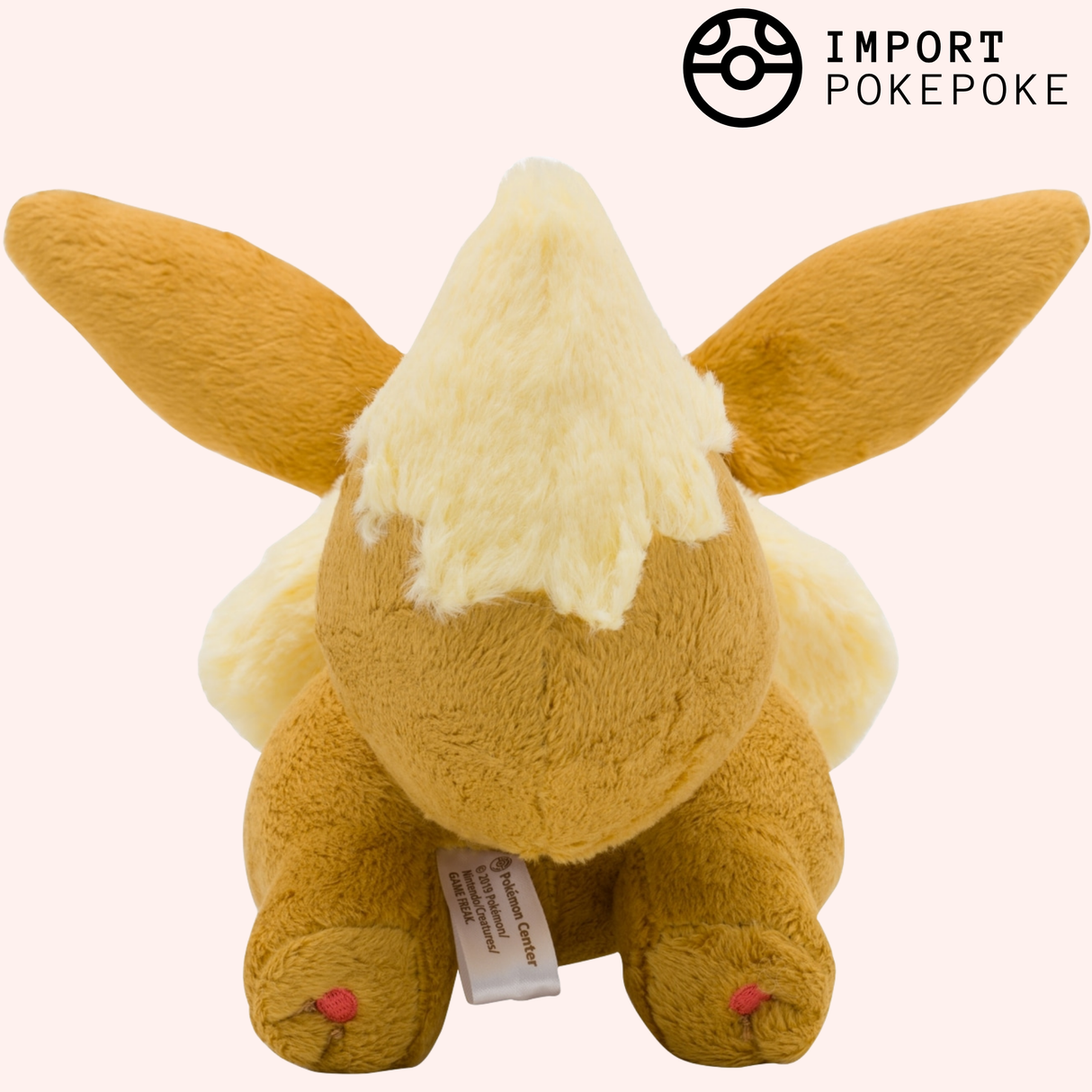 Evoli qui court | Pokémon Center