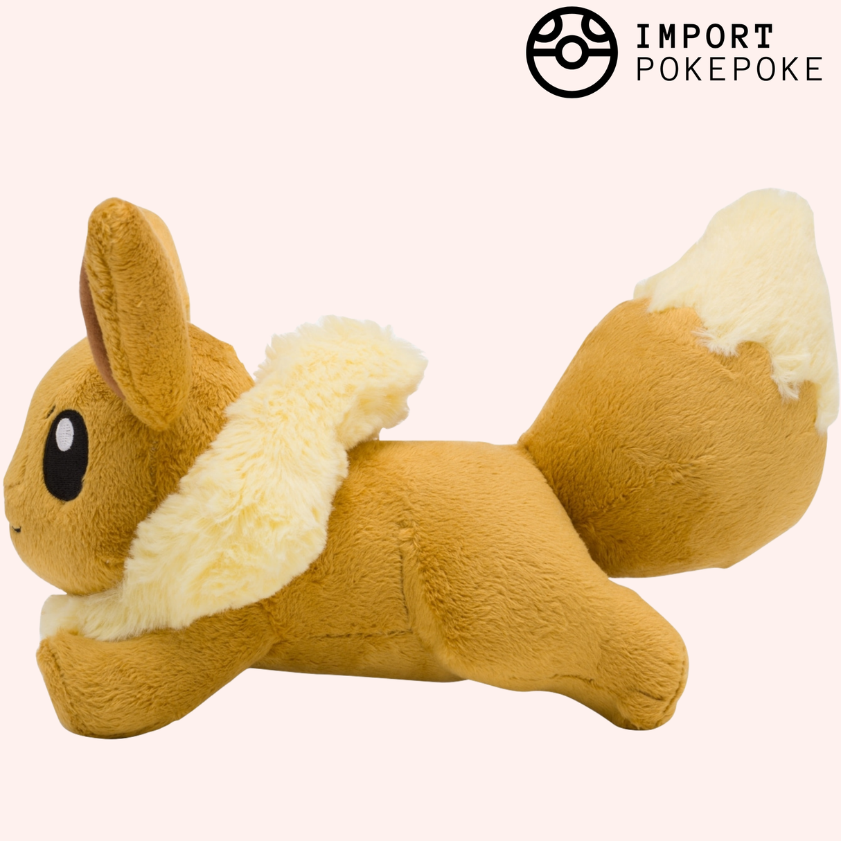 Evoli qui court | Pokémon Center