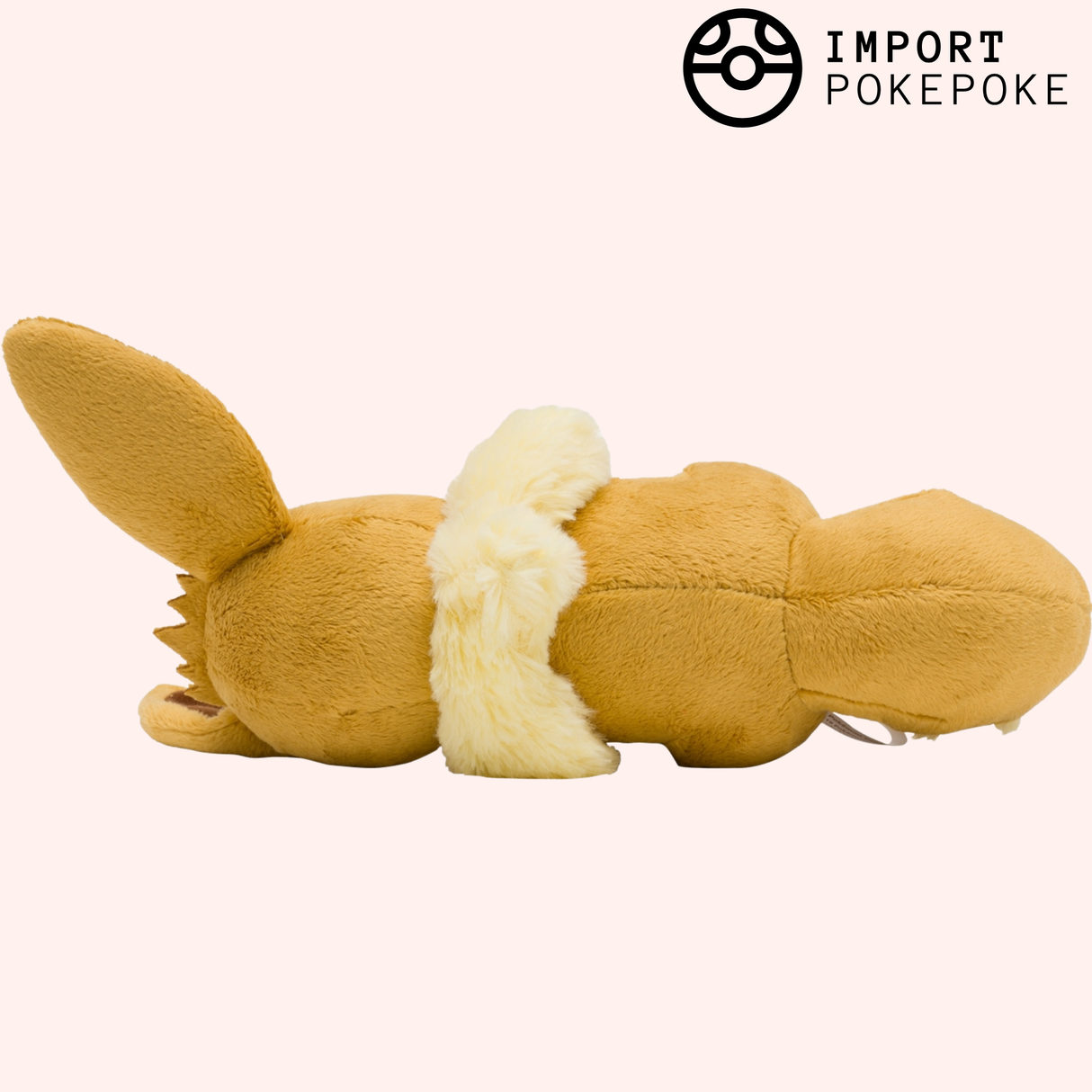 Evoli qui dort | Pokémon Center