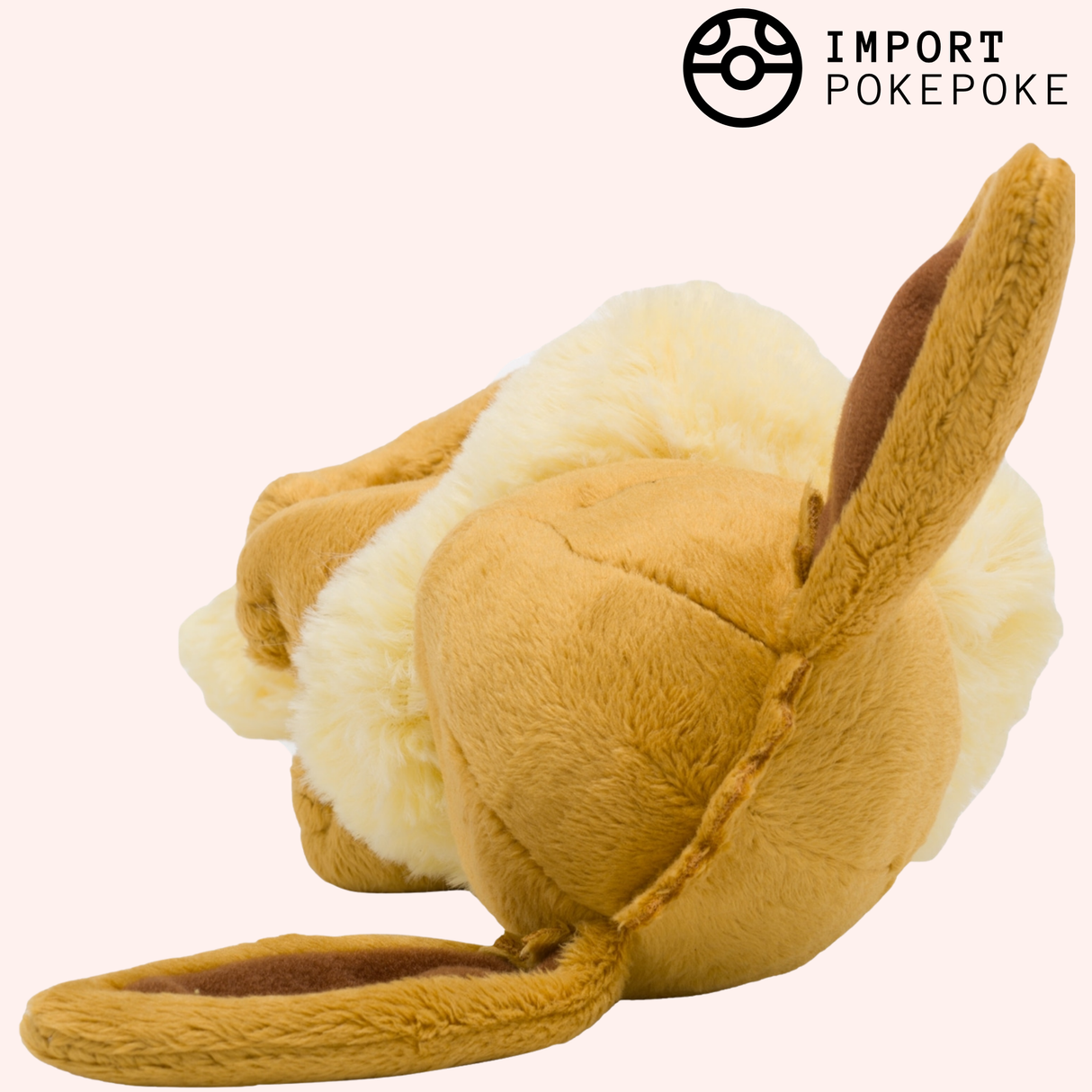 Evoli qui dort | Pokémon Center