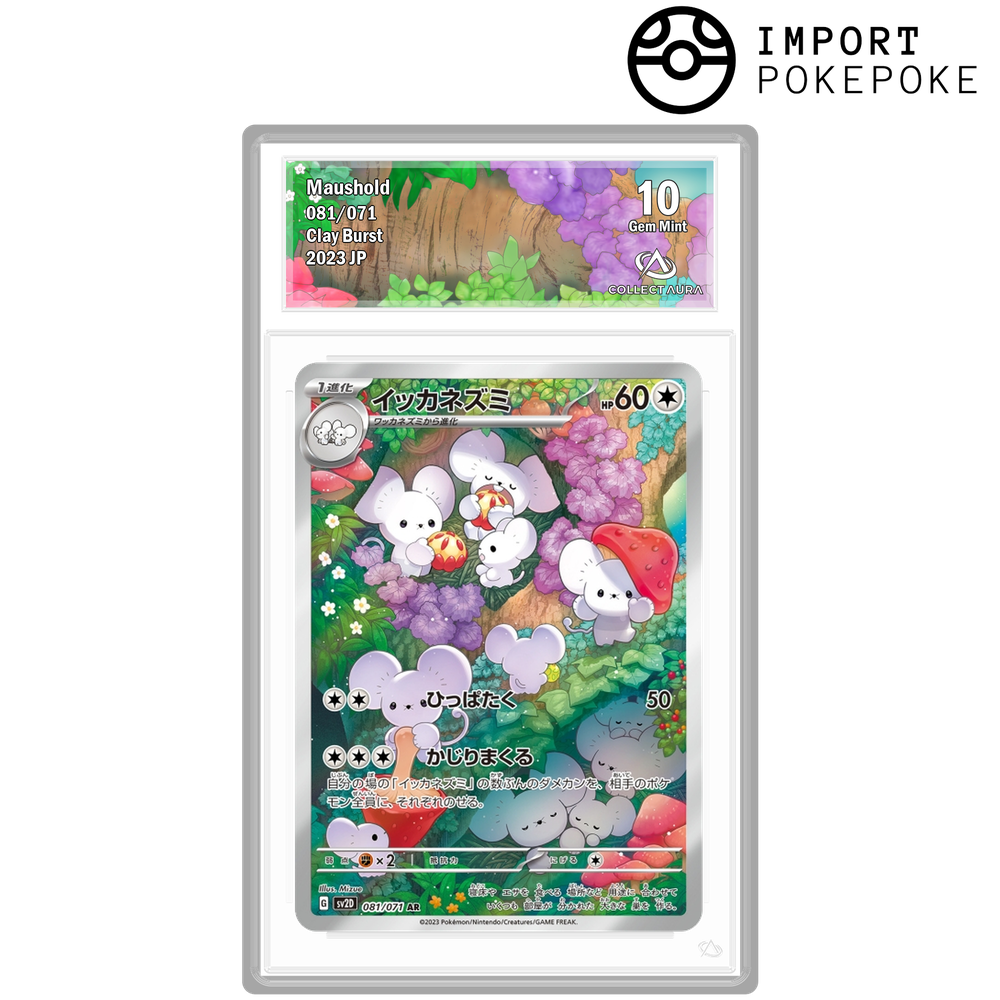 Famignol AR 081/071 - SV2D