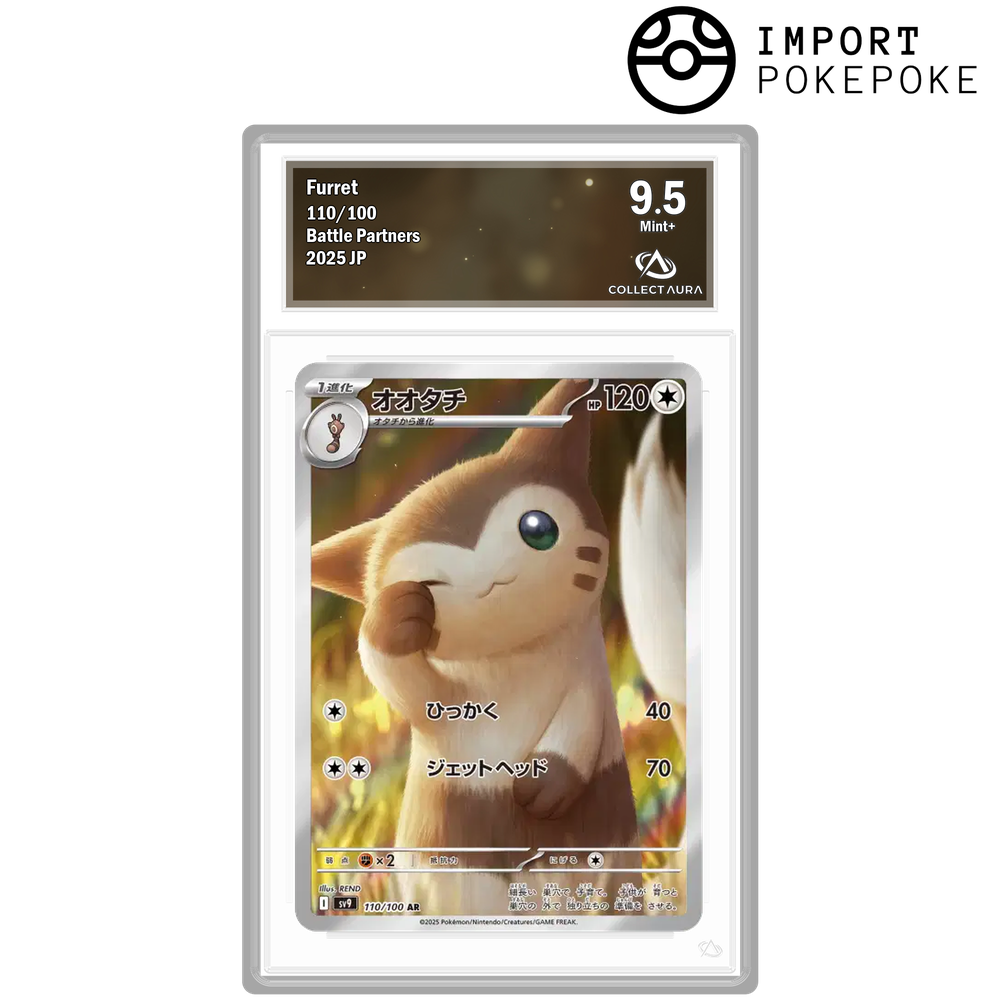 Fouinar AR 110/100 - SV9