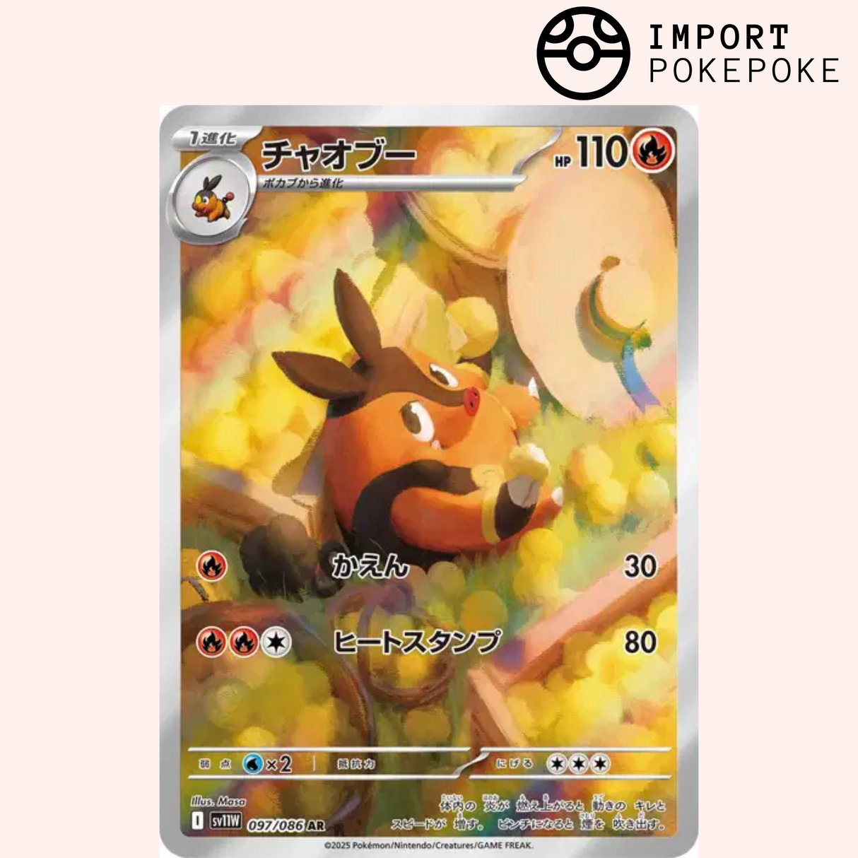 Grotichon AR 097/086 SV11w