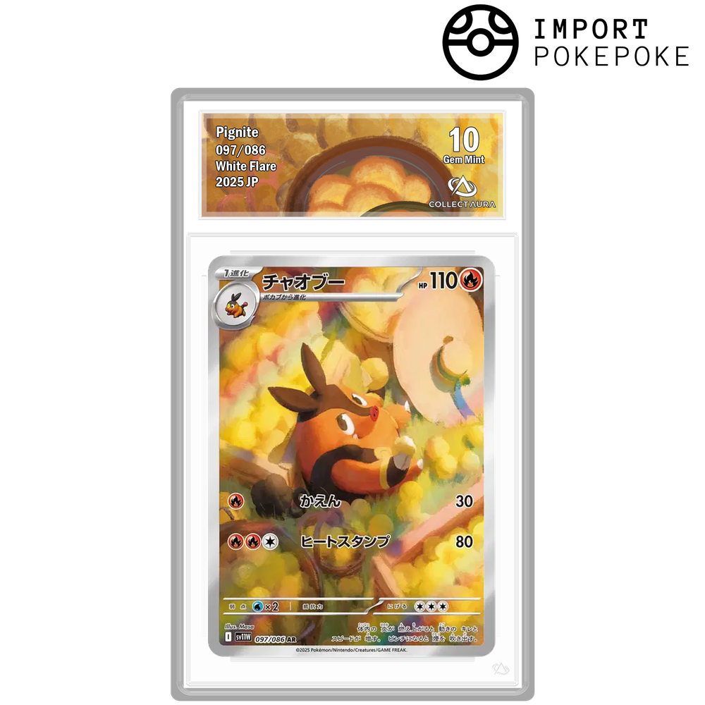 Grotichon AR 097/086 - SV11W