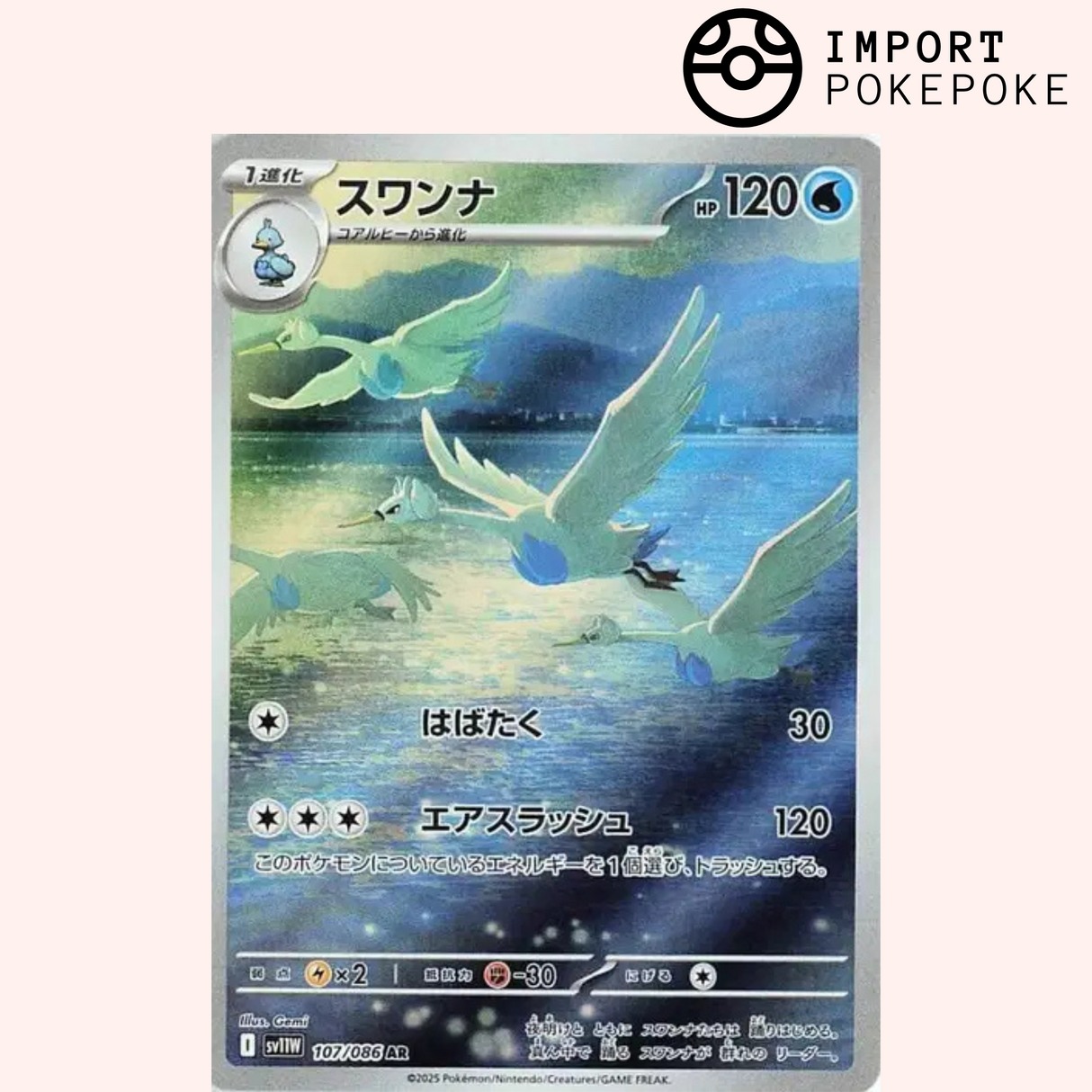 Lakmécygne AR 107/086 SV11w