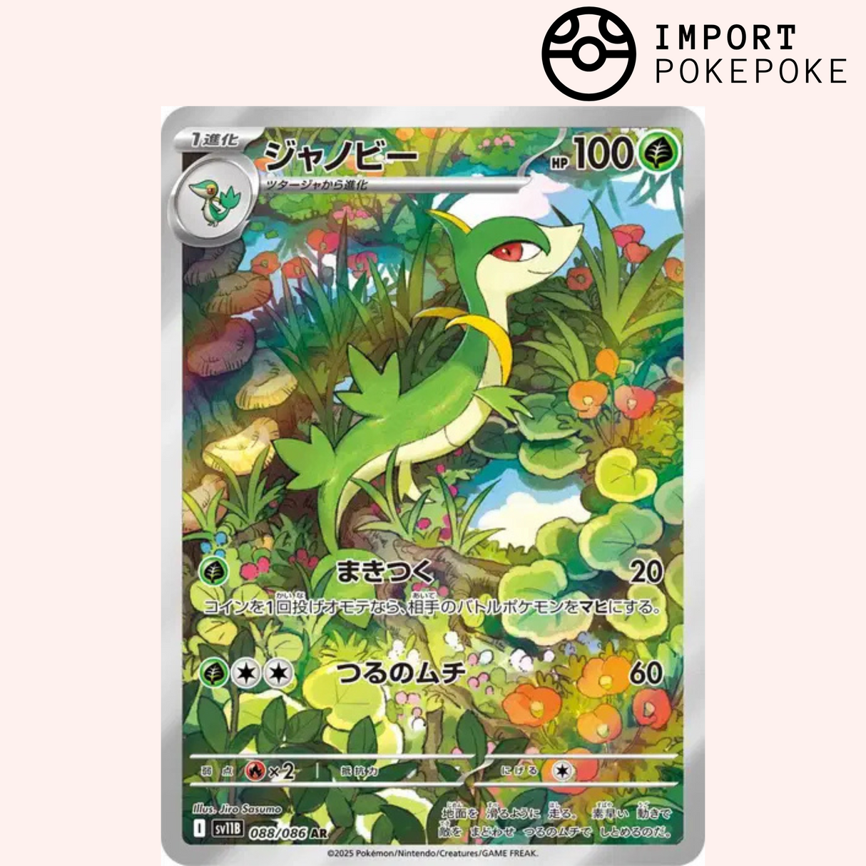 Lianaja AR 088/086 - Black Bolt - SV11B