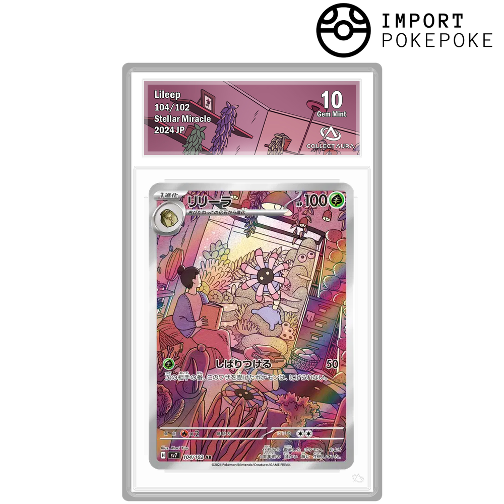 Lilia AR 104/102 - SV7