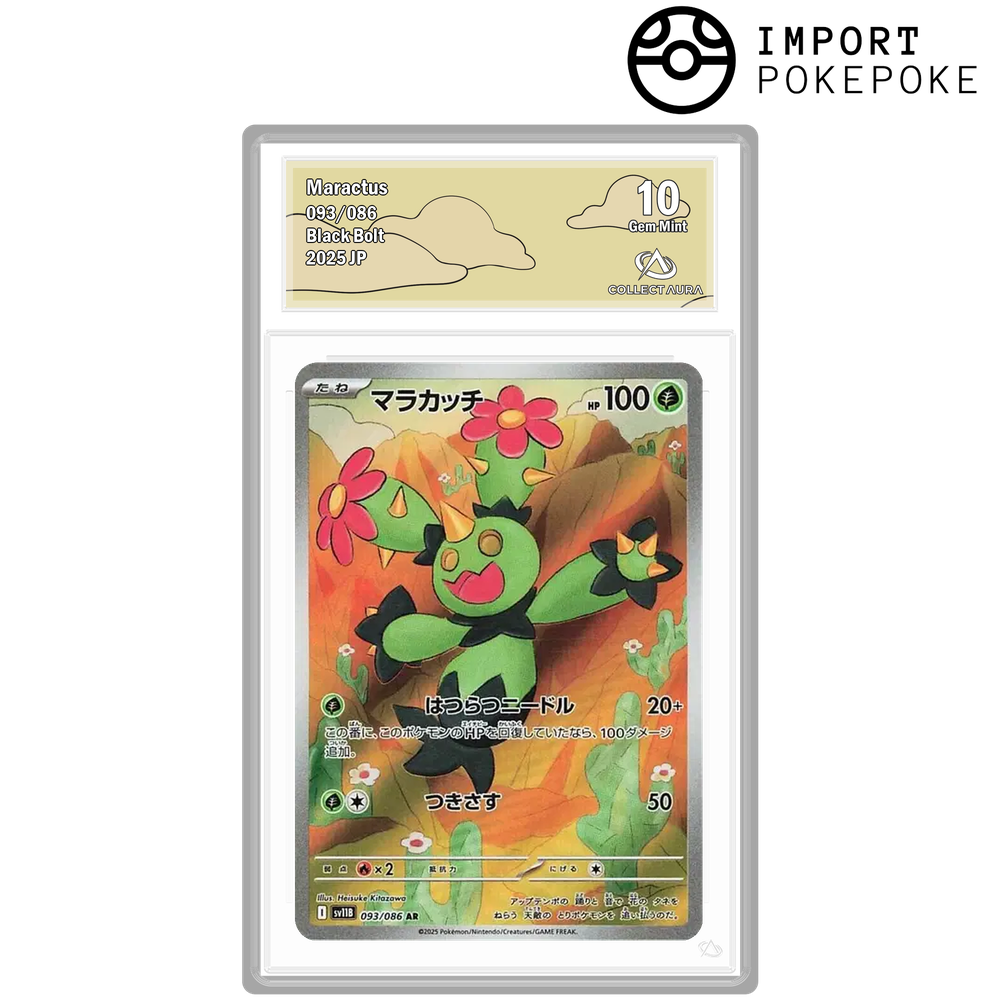 Maracachi AR 093/086 - SV11B