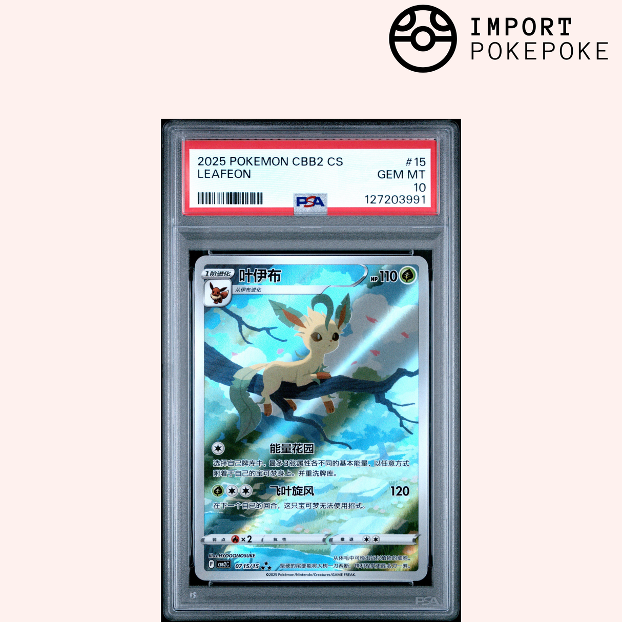 Phyllali AR 0715/15 - CBB2C