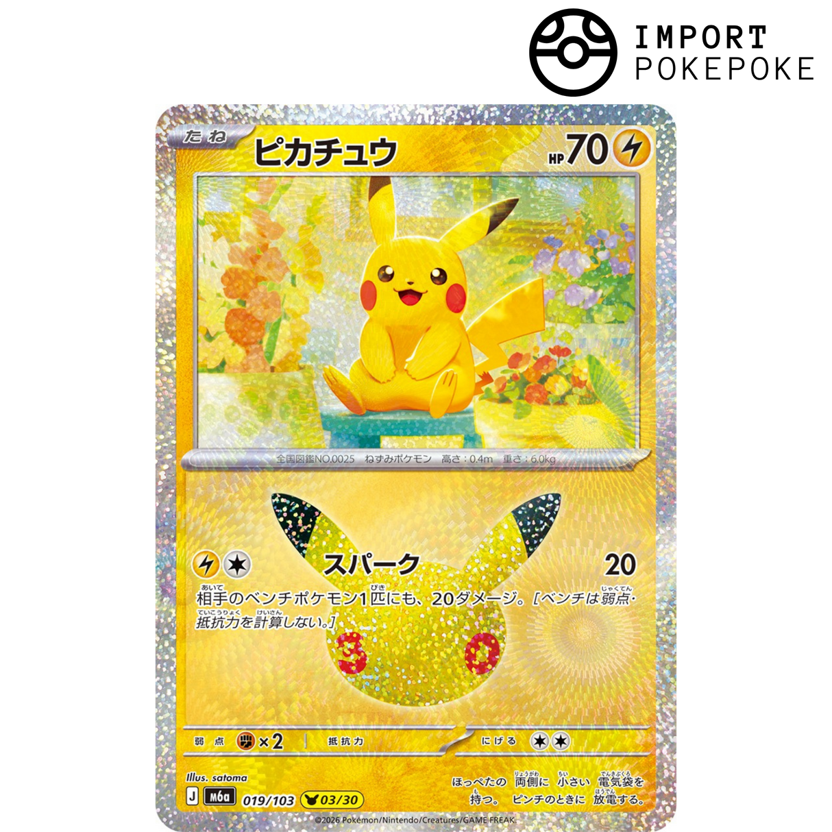 Pikachu 03/30 - 30th M6a