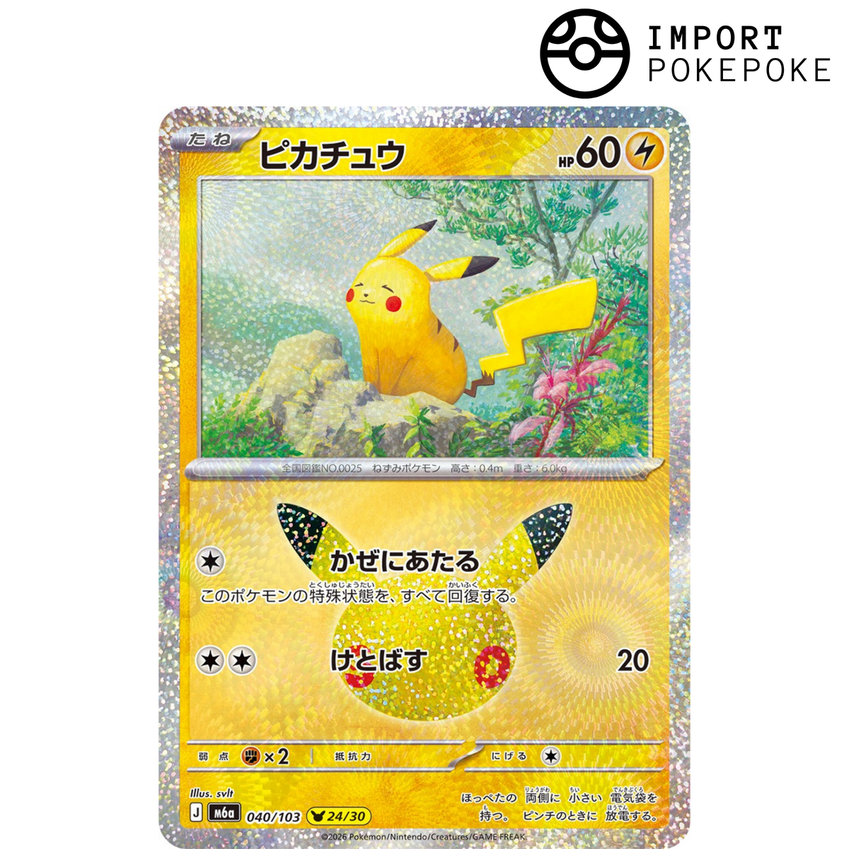 Pikachu 24/30 - 30th M6a