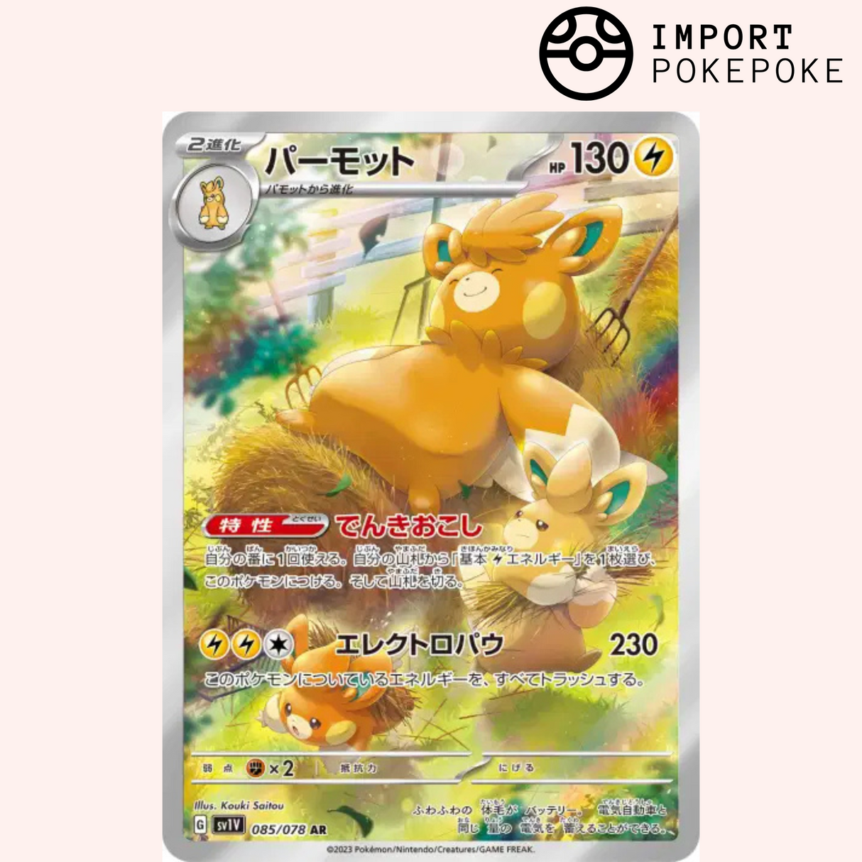 Pohmarmotte AR 085/078 - Violet ex - SV1V