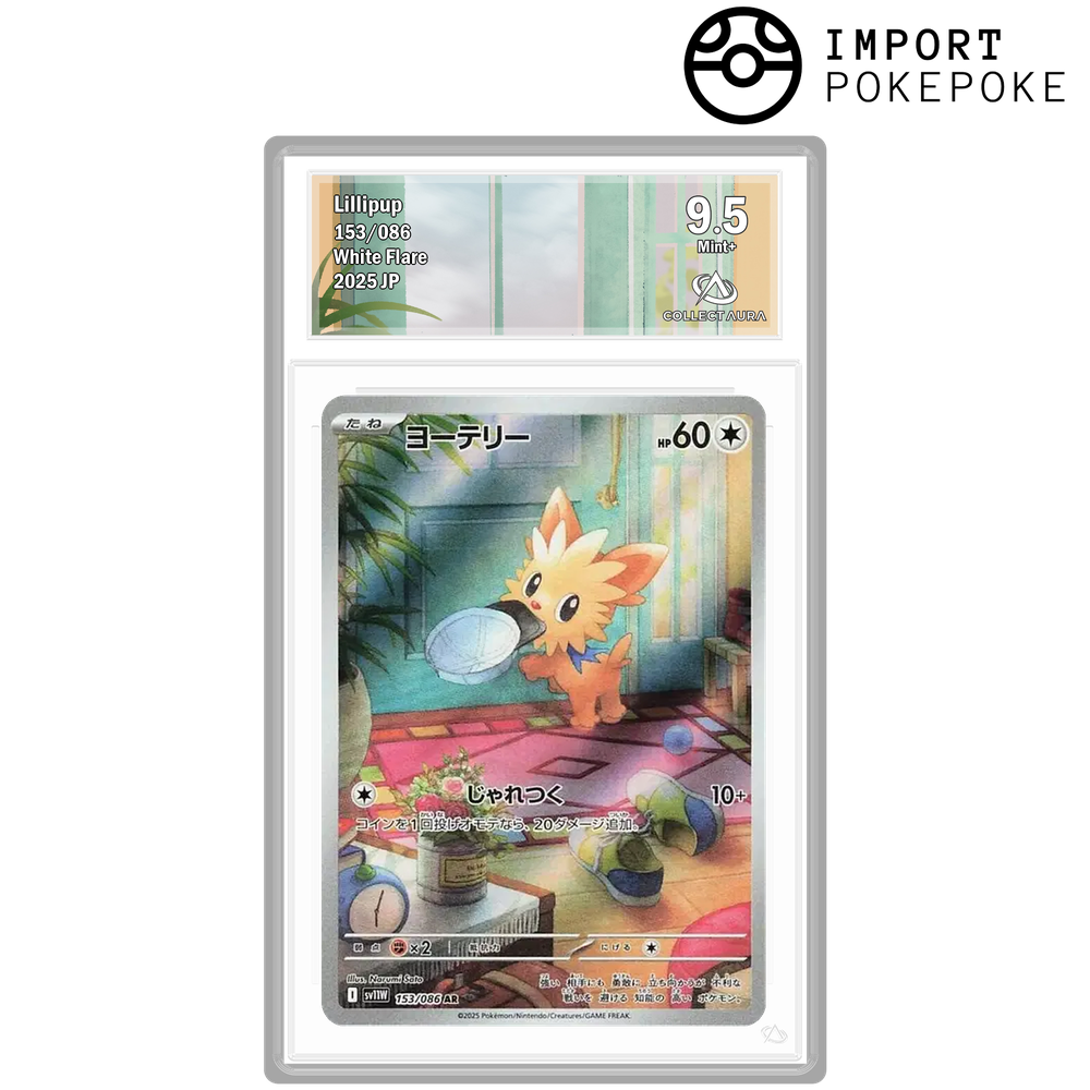 Ponchiot AR 153/086 - SV11W