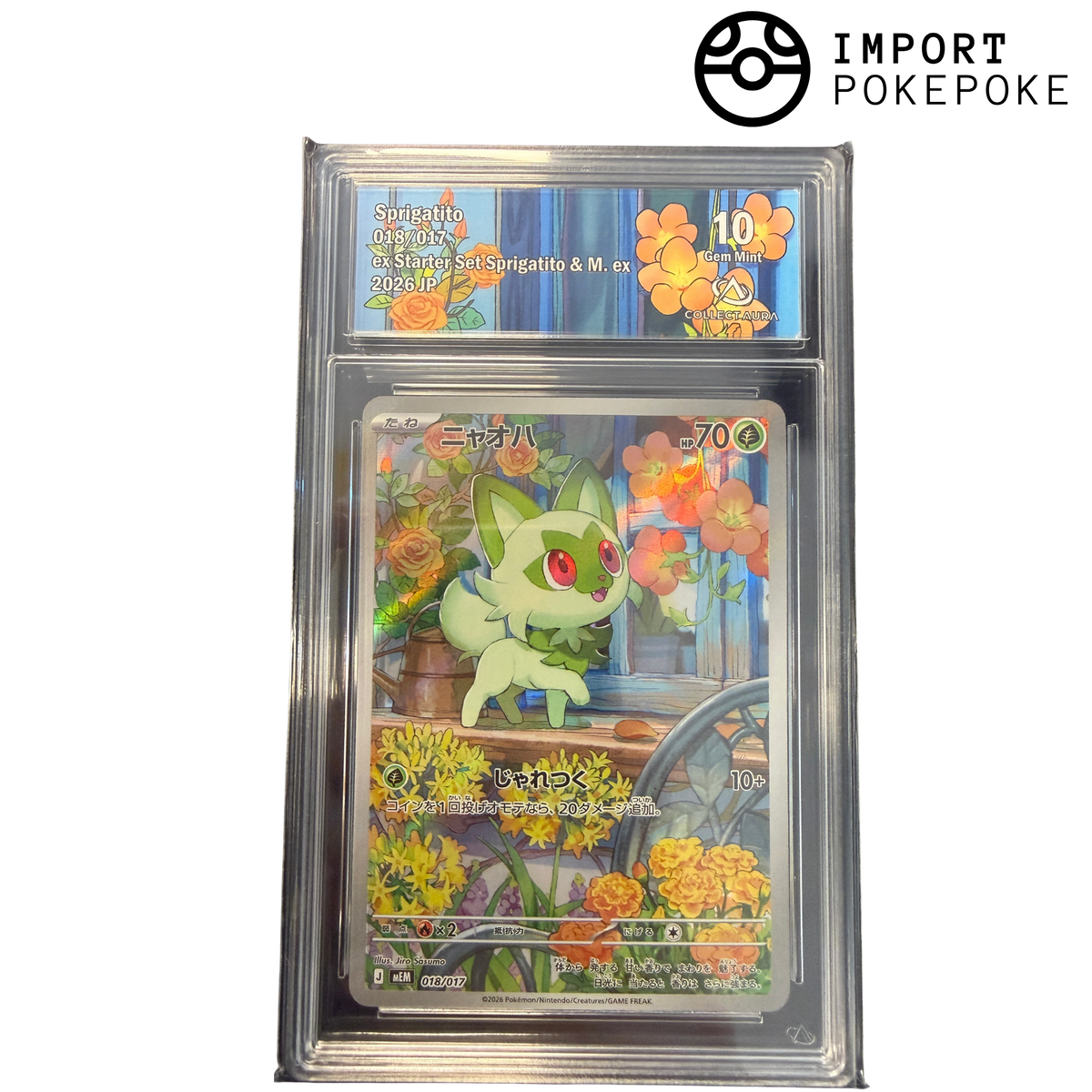 Poussacha AR 018/017 - ex Starter Set ex