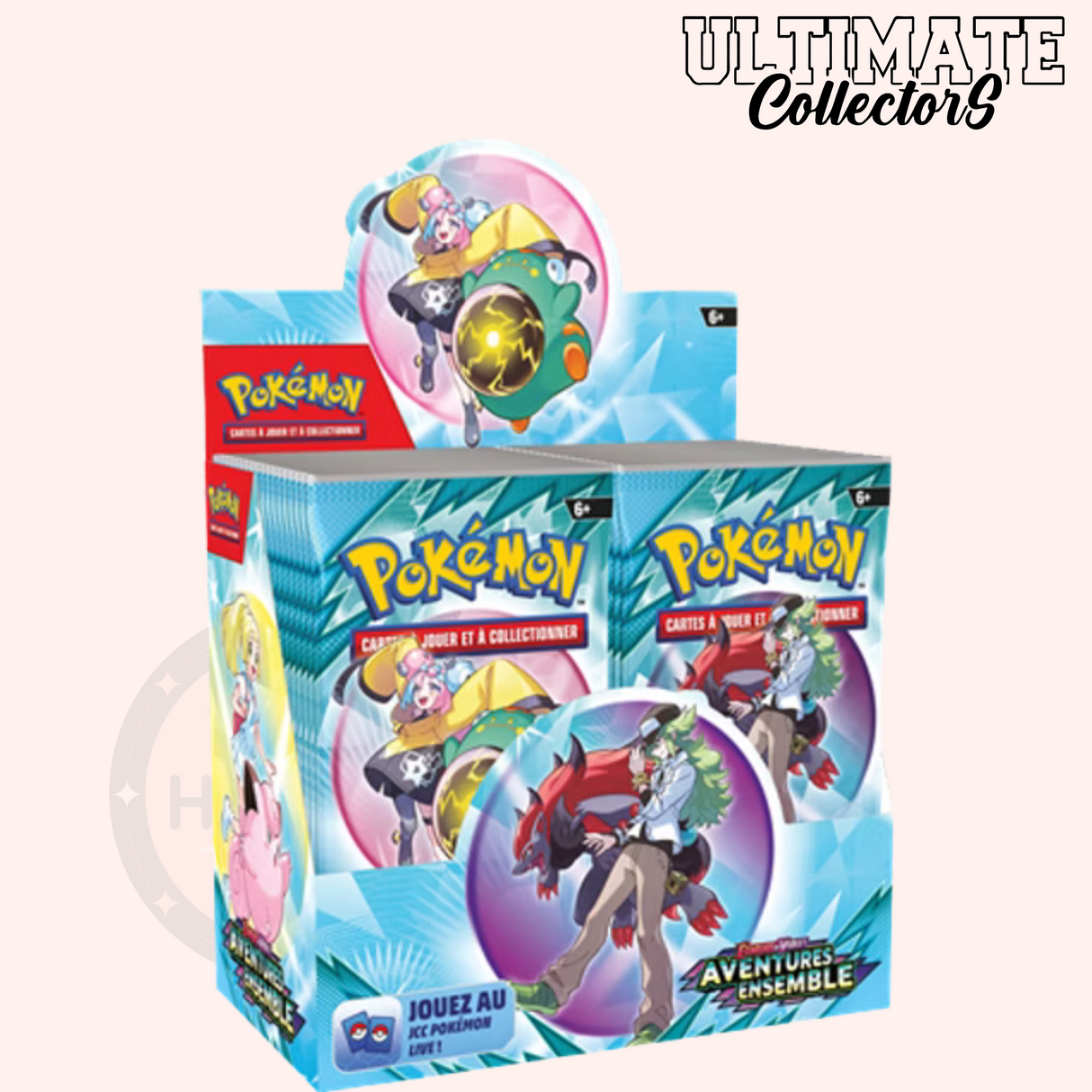 Display PokĂ©mon â Aventures Ensemble â EV09 â Français