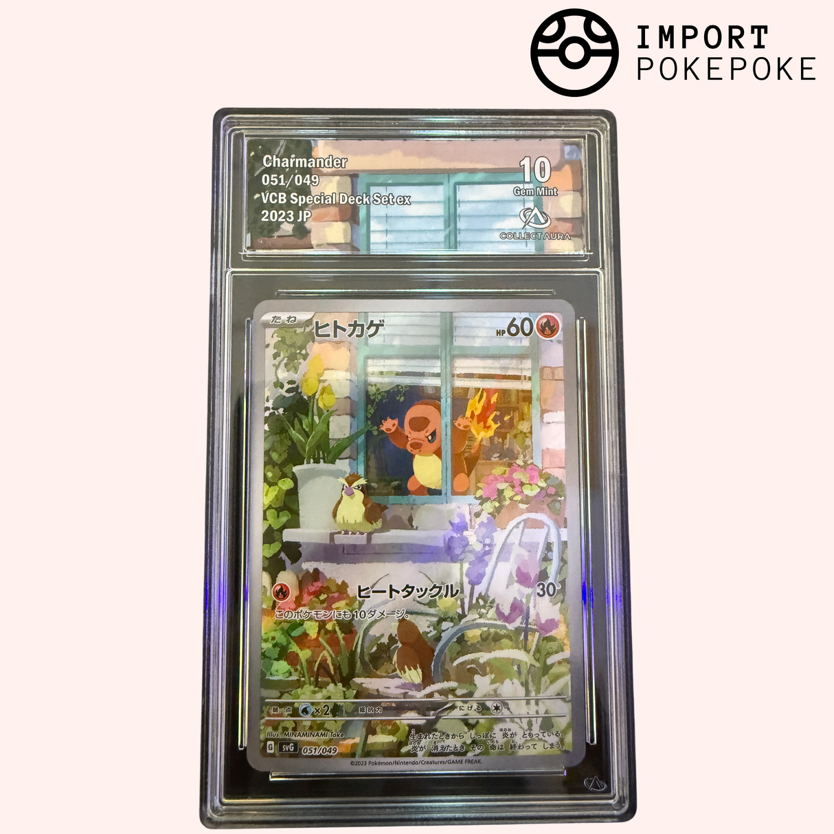 Salamèche AR 051/049 - SVG