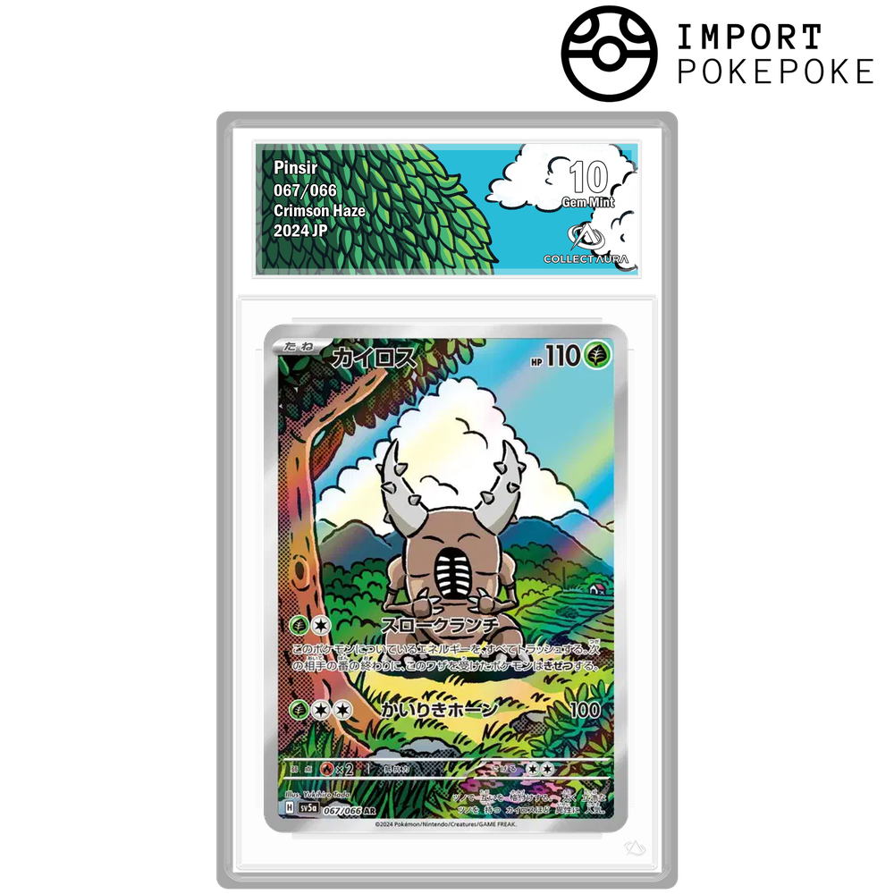 Scarabrute AR 067/066 - SV5A