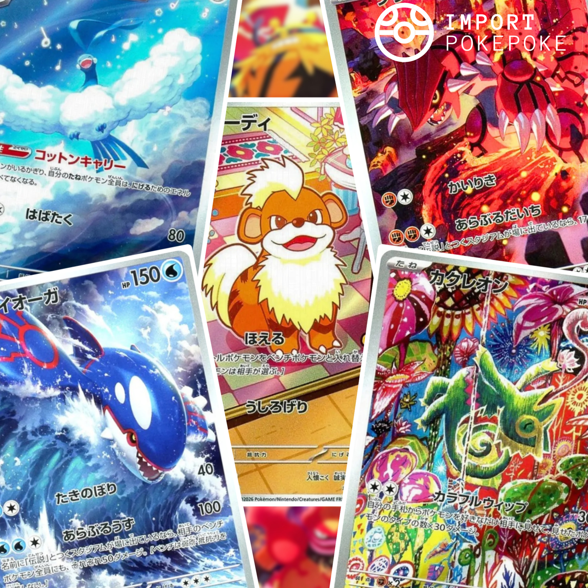 Set Completo 12/12 AR - Smeralda della Tempesta - M6