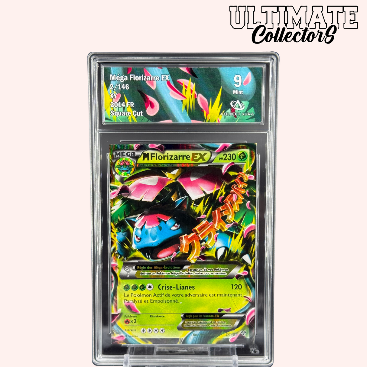 Square Cut Méga-Florizarre ex 02/146 - XY - Français