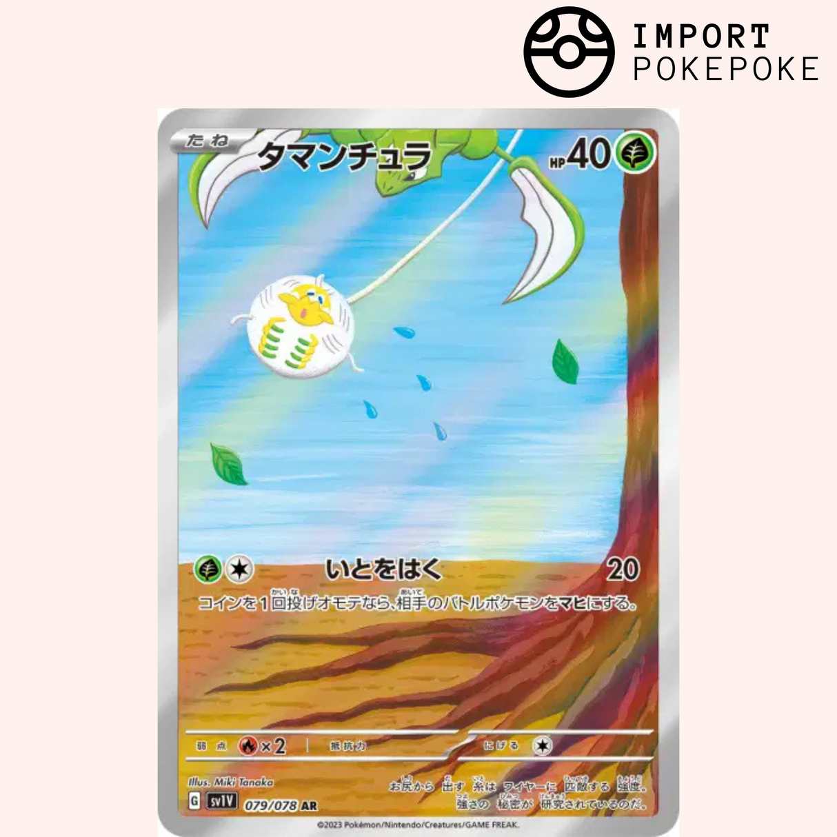 Tissenboule AR 079/078 - Violet ex - SV1V